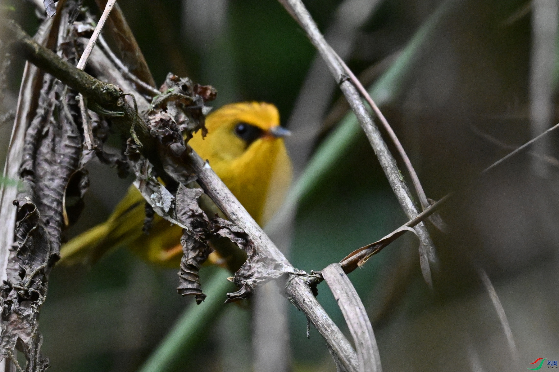 DSC_9854.JPG