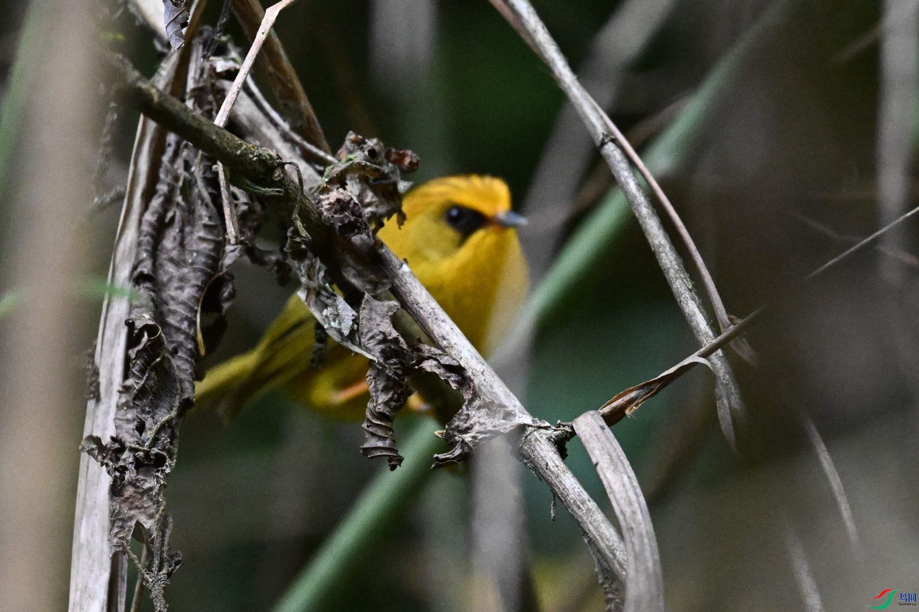 DSC_9855.JPG