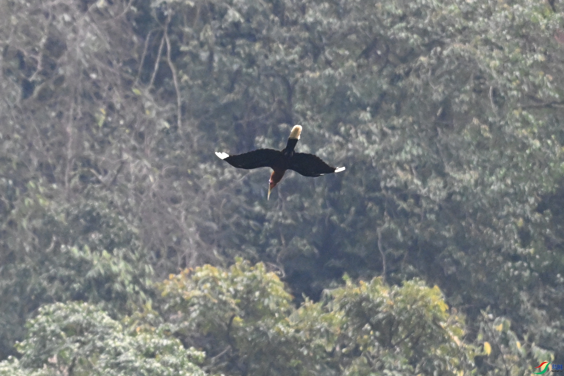DSC_9813.JPG