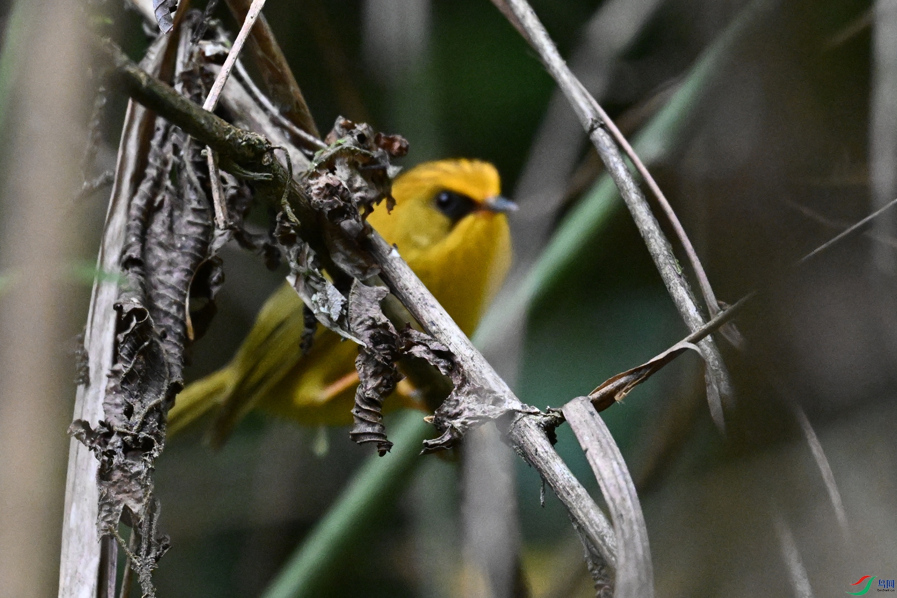 DSC_9857.JPG