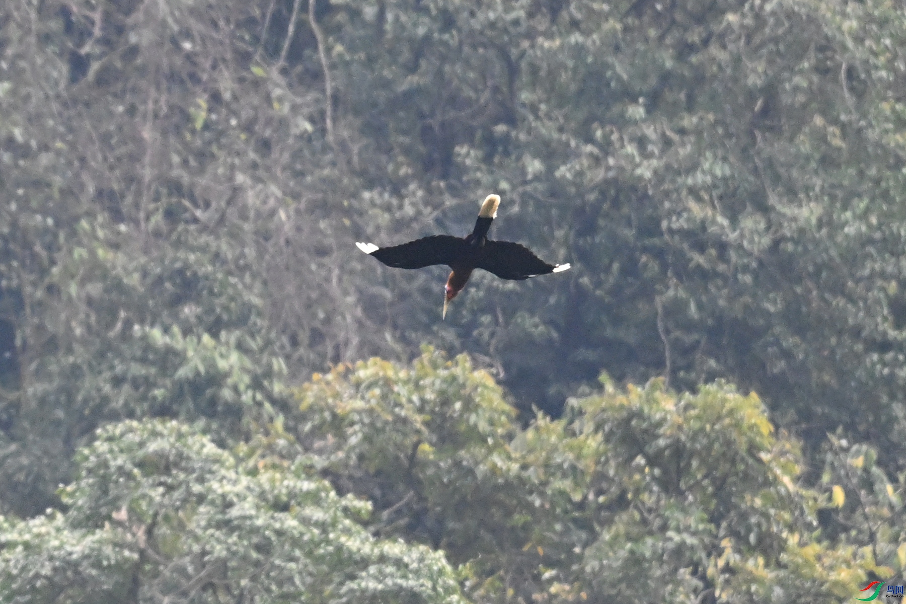 DSC_9814.JPG