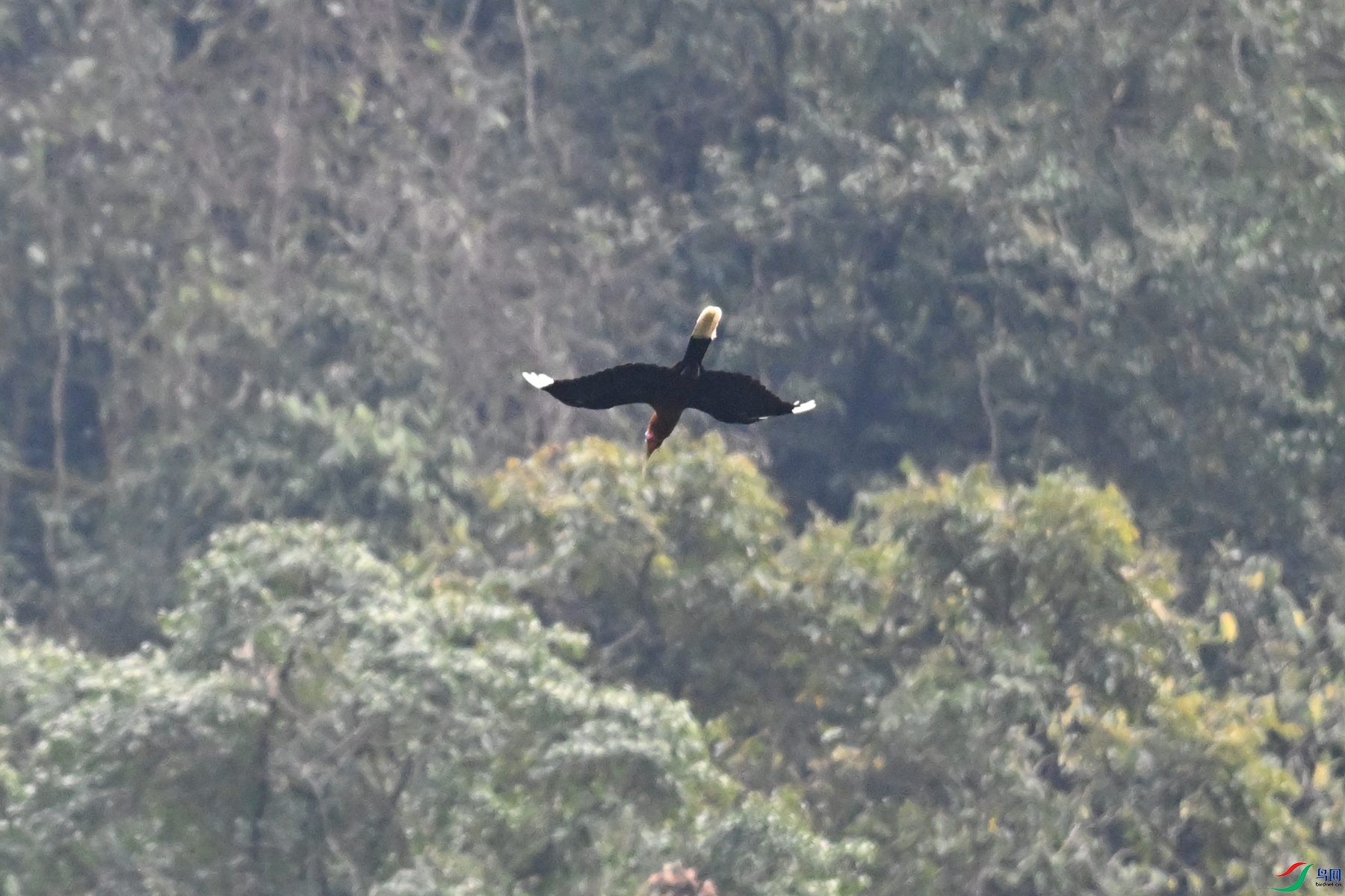 DSC_9815.JPG