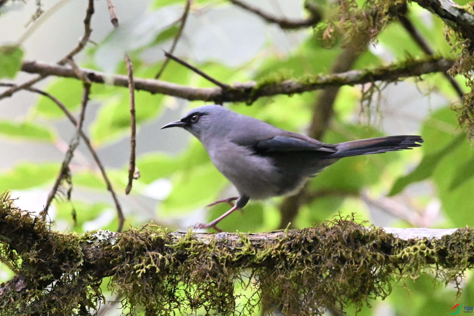 DSC_9847.JPG