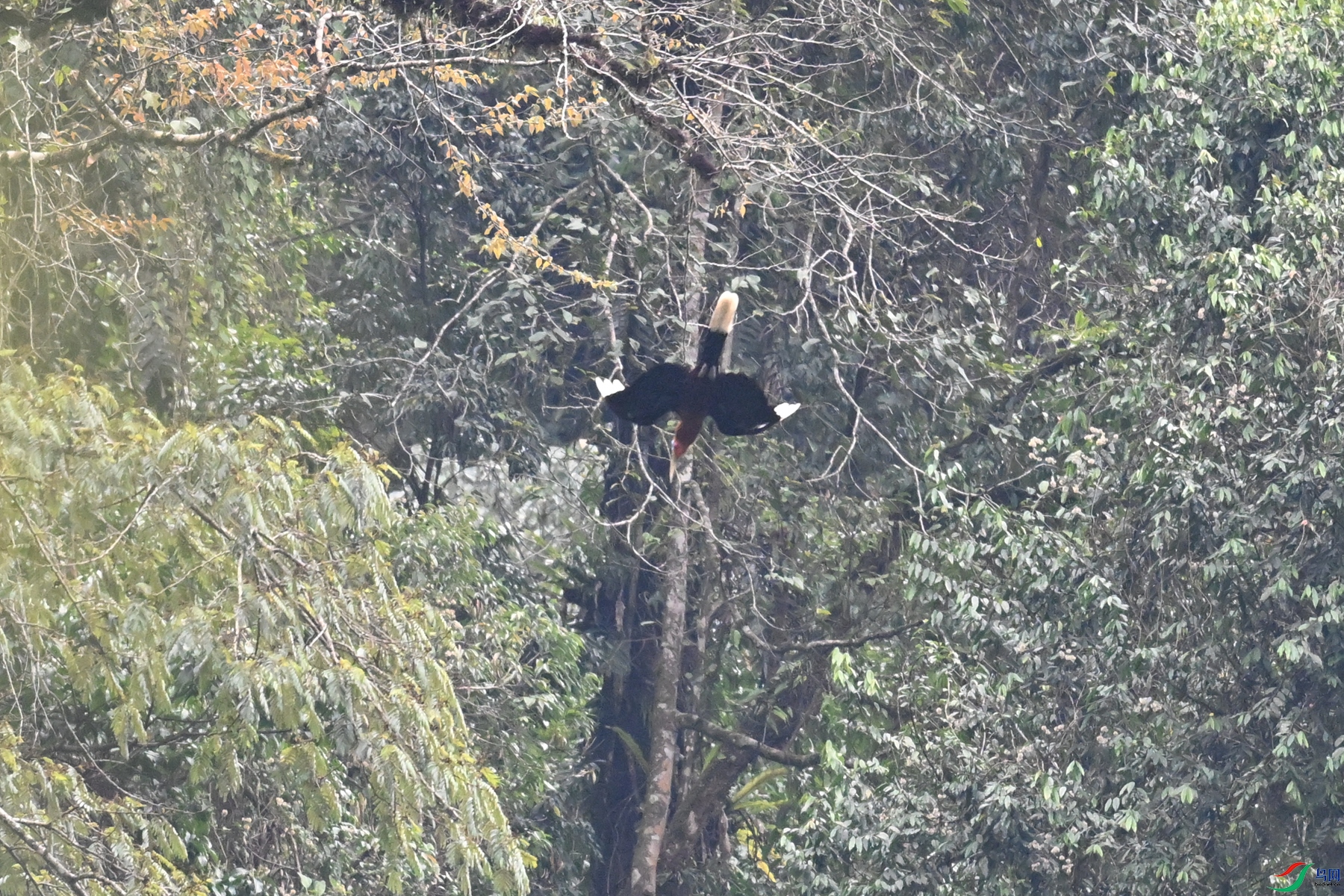 DSC_9826.JPG