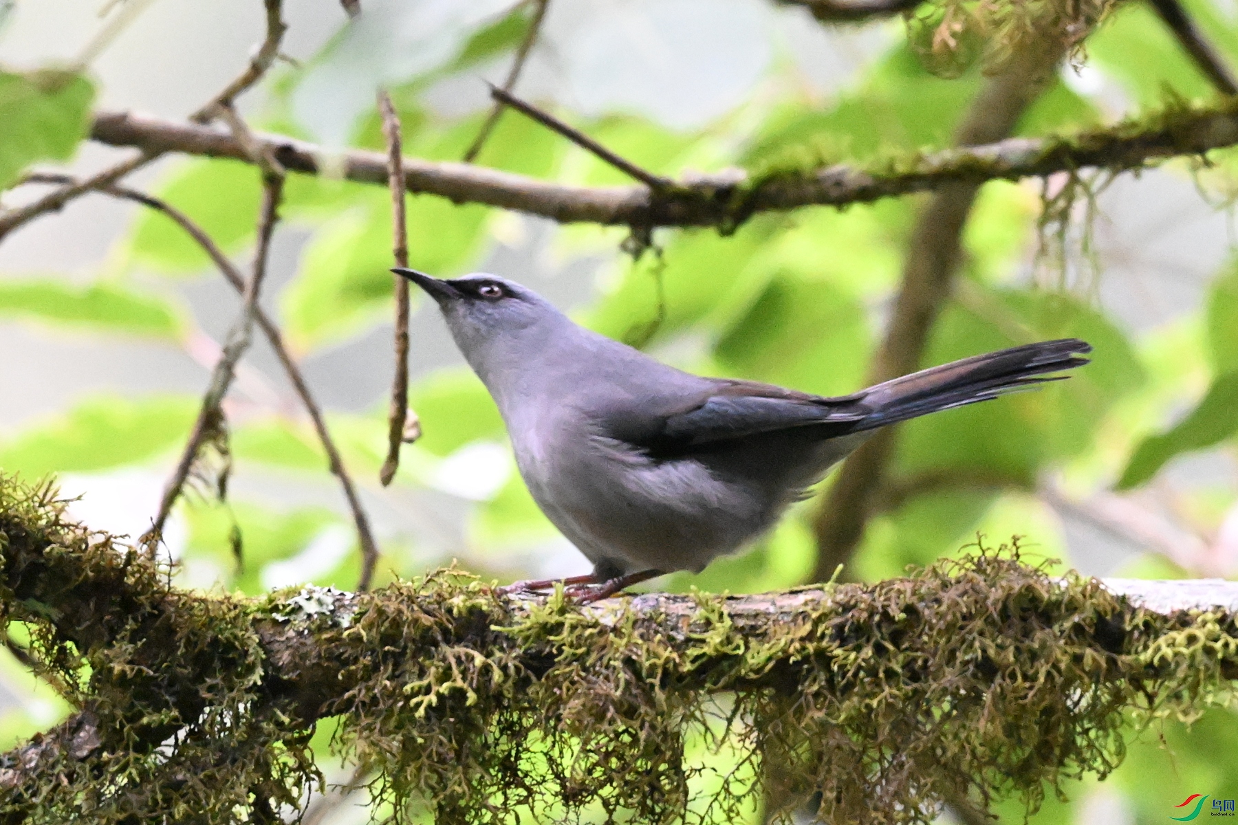 DSC_9848.JPG