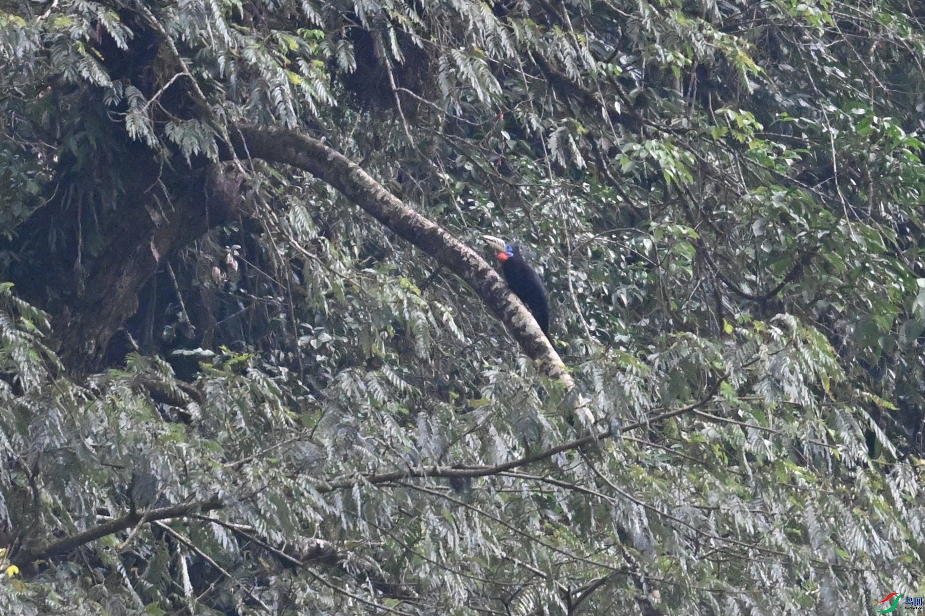 DSC_9891.JPG