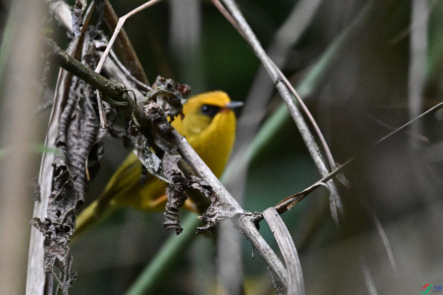 DSC_9858.JPG