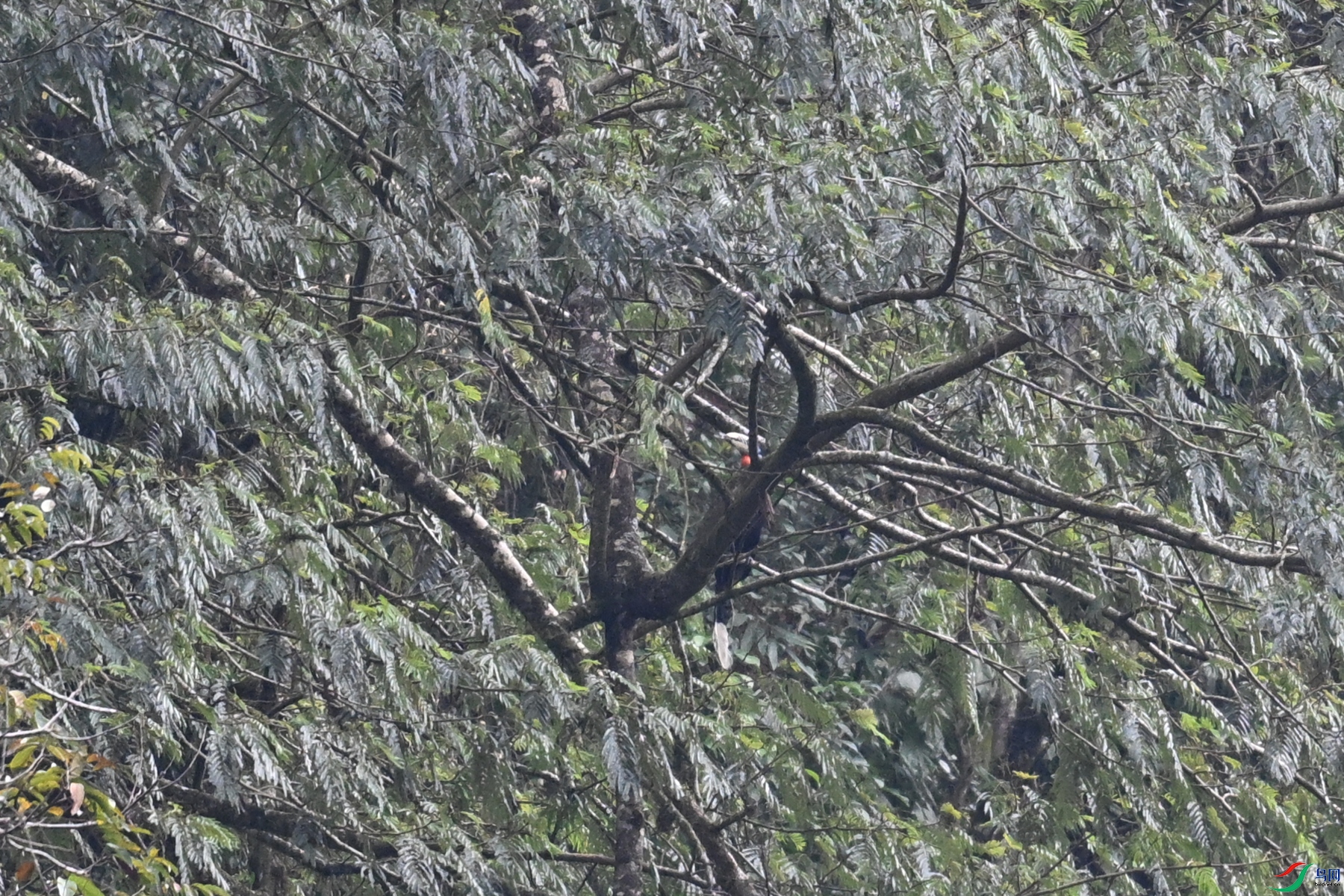 DSC_9868.JPG
