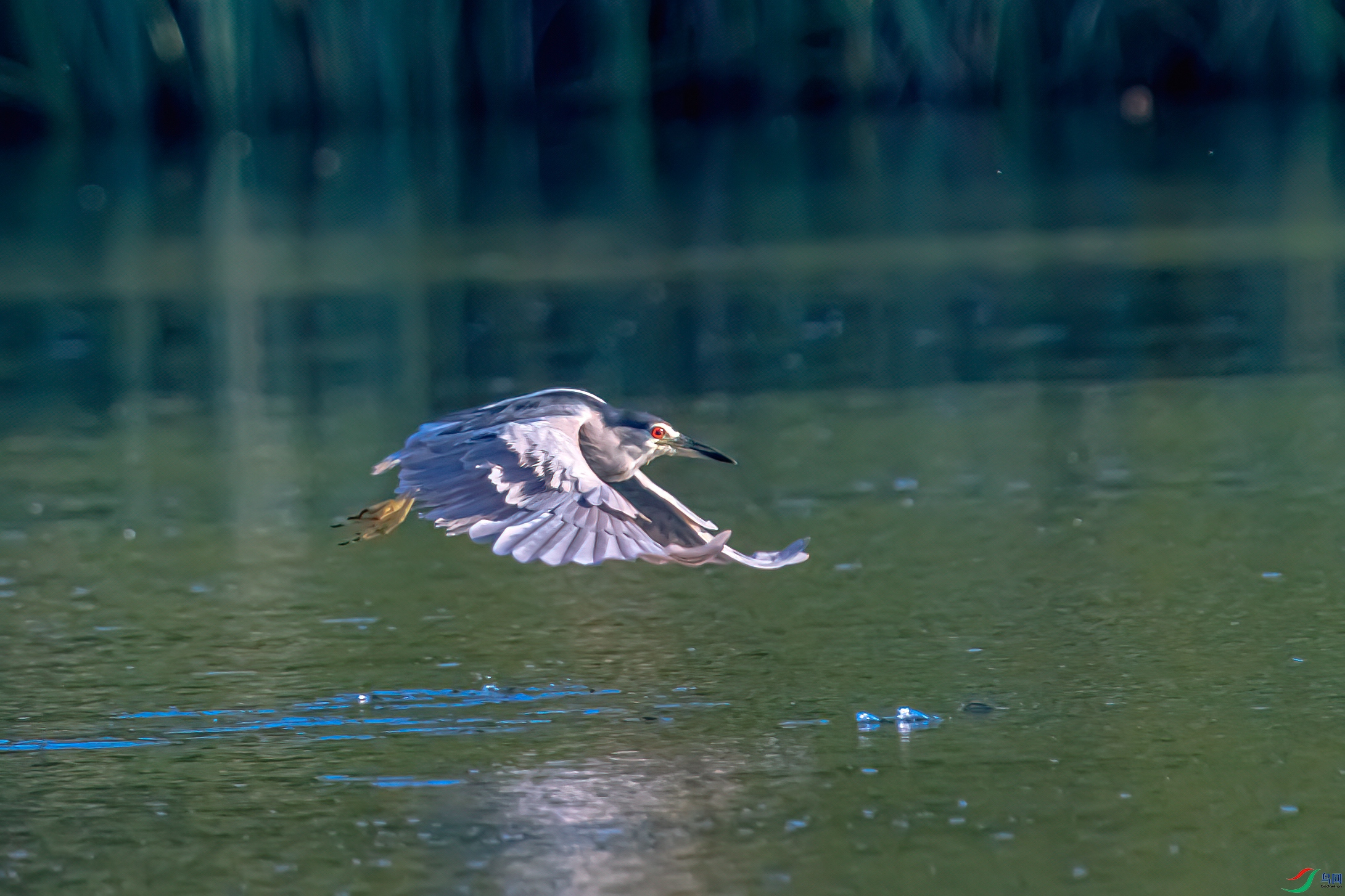 DSC_0606-11.jpg