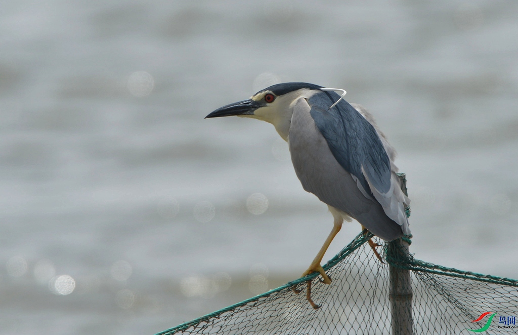 DSC_2992_����.jpg