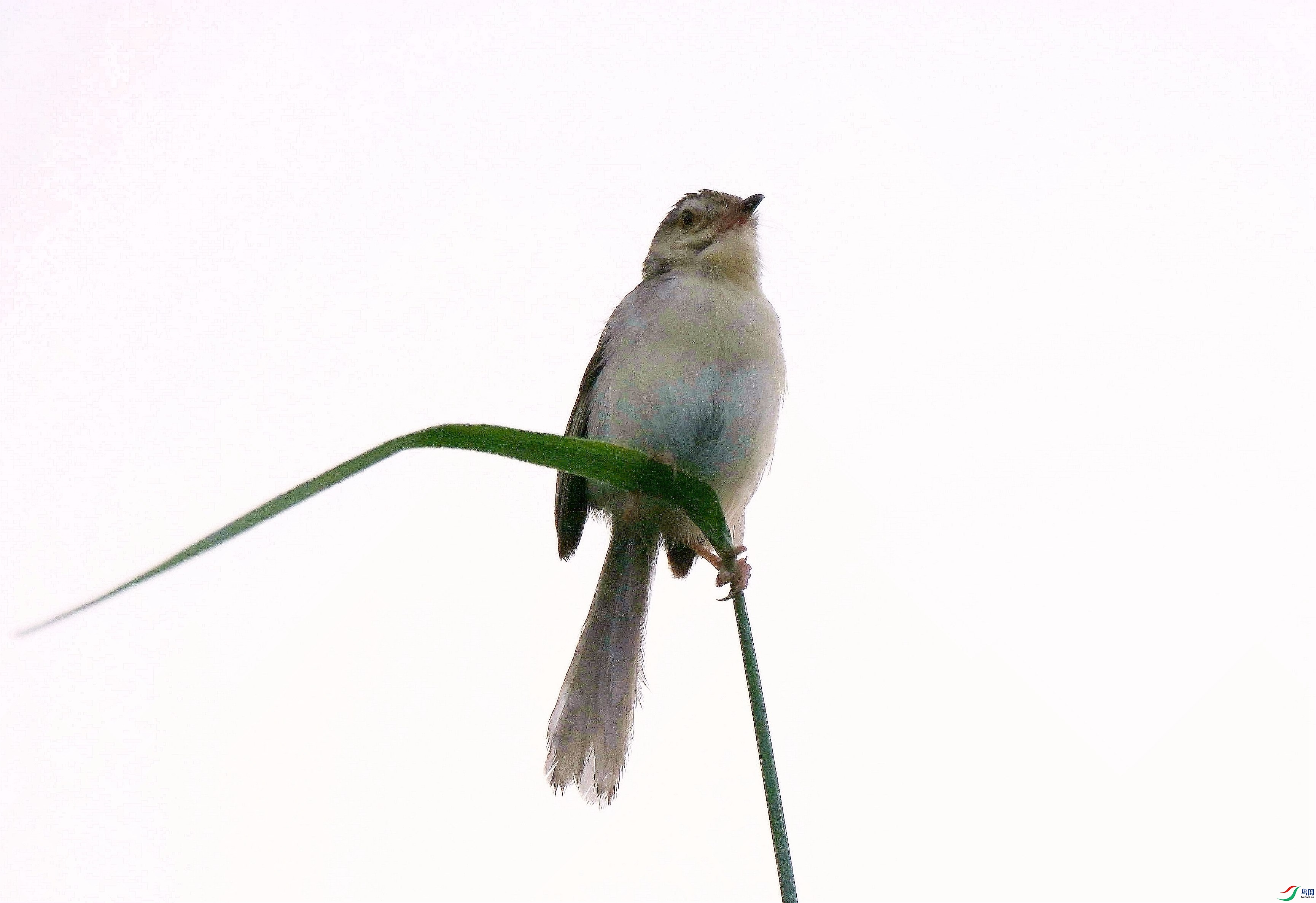 DSC_6239.jpg