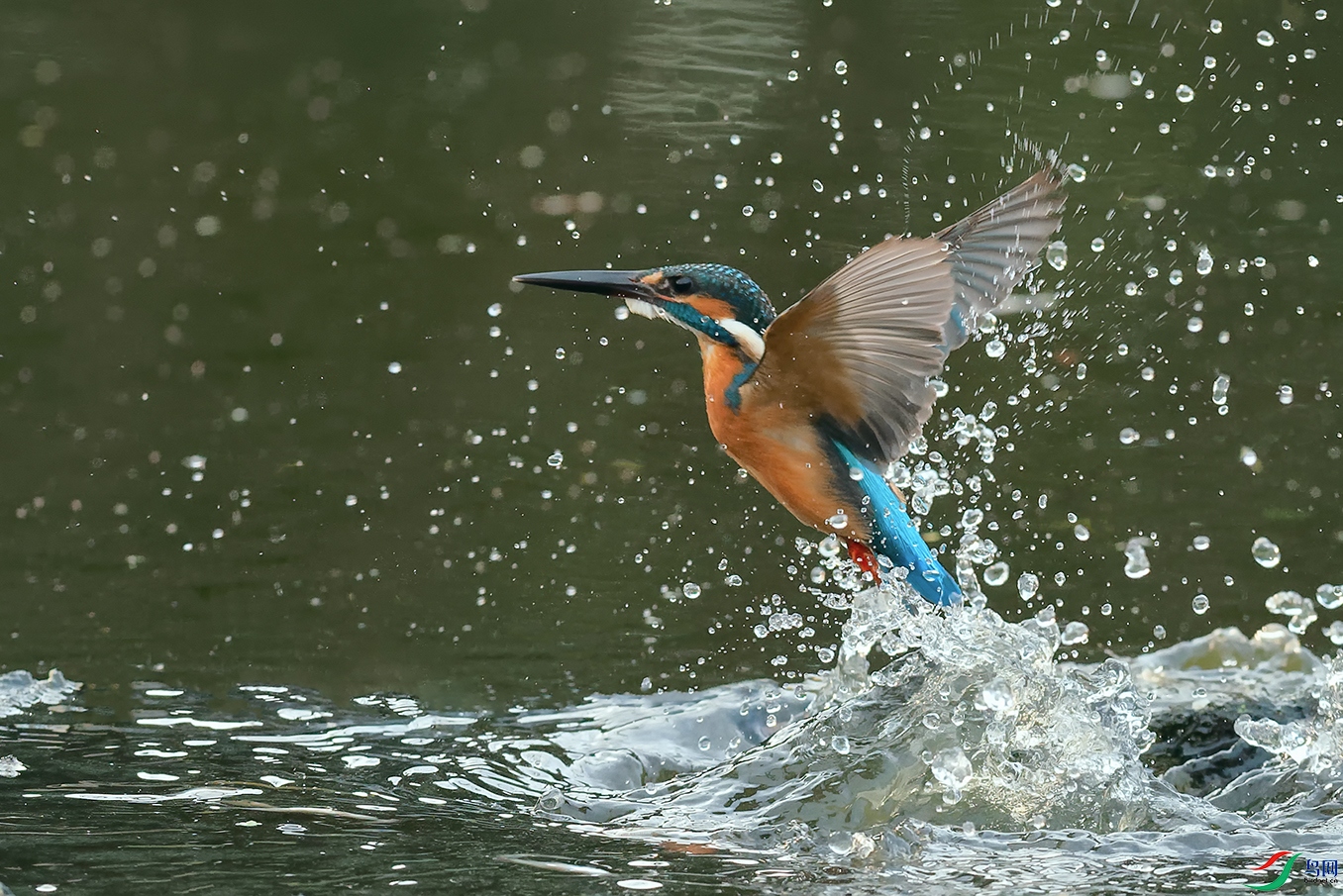 3DSC_8088_DxOa.jpg
