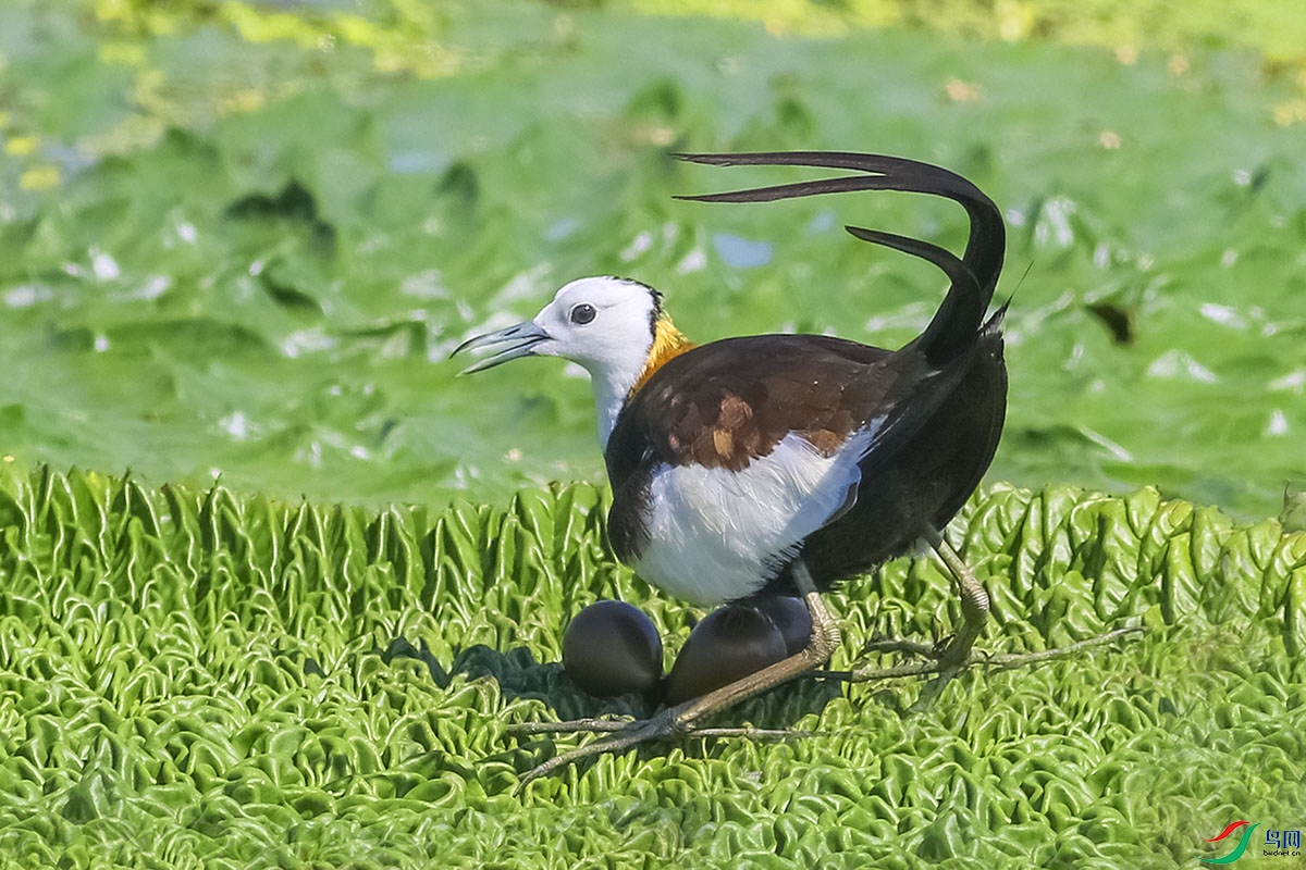 3D1A8549m.jpg