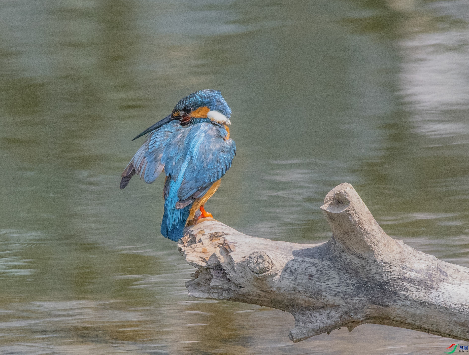 DSC_1821_��ͼ�� ����.jpg