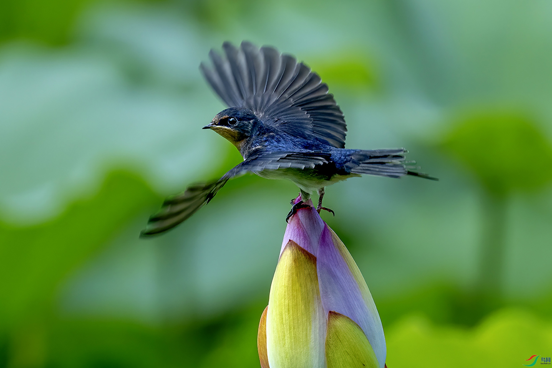DSC_9582--.jpg