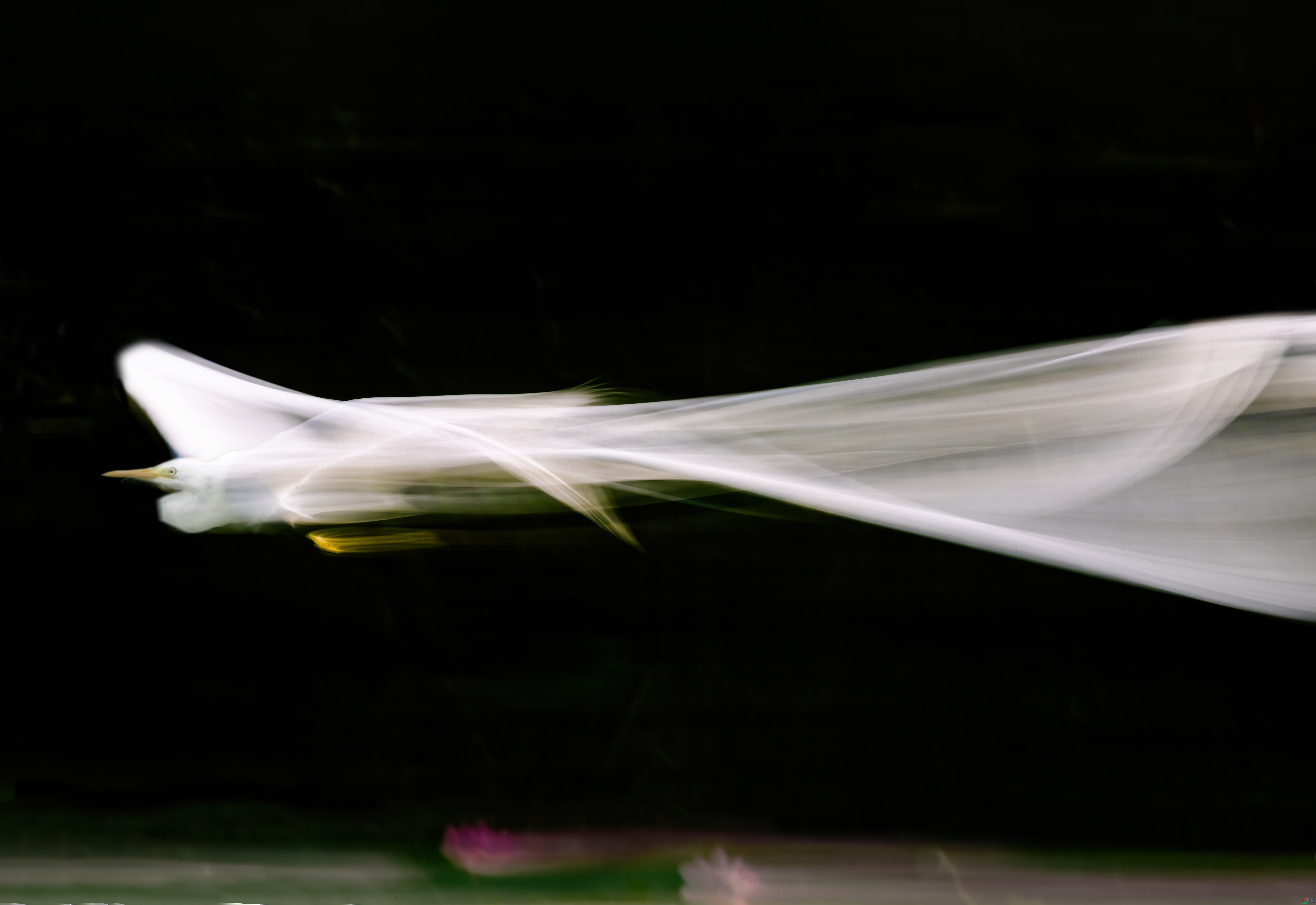 DSC_1109����.jpg
