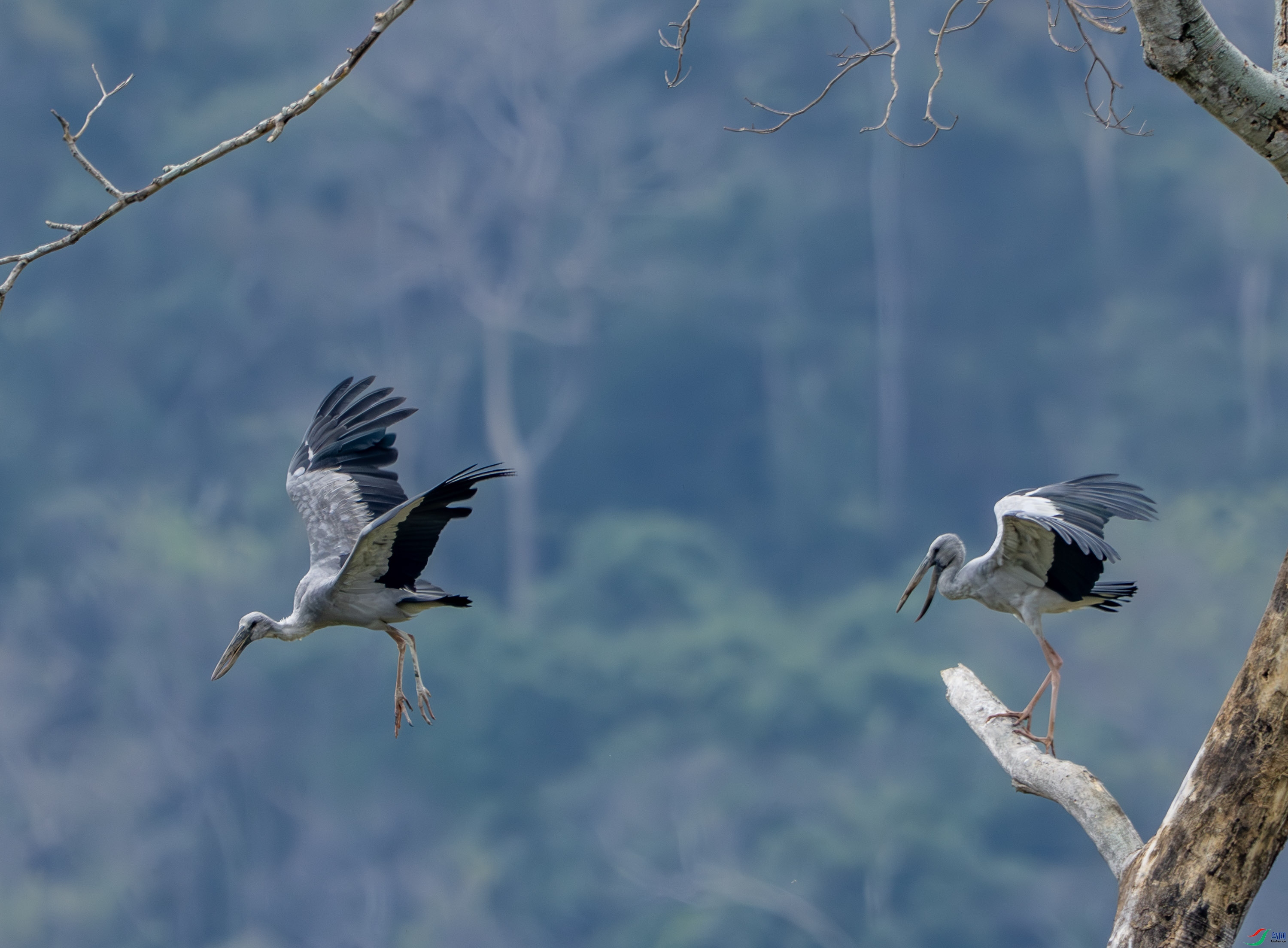 ǯ����-18-2.jpg