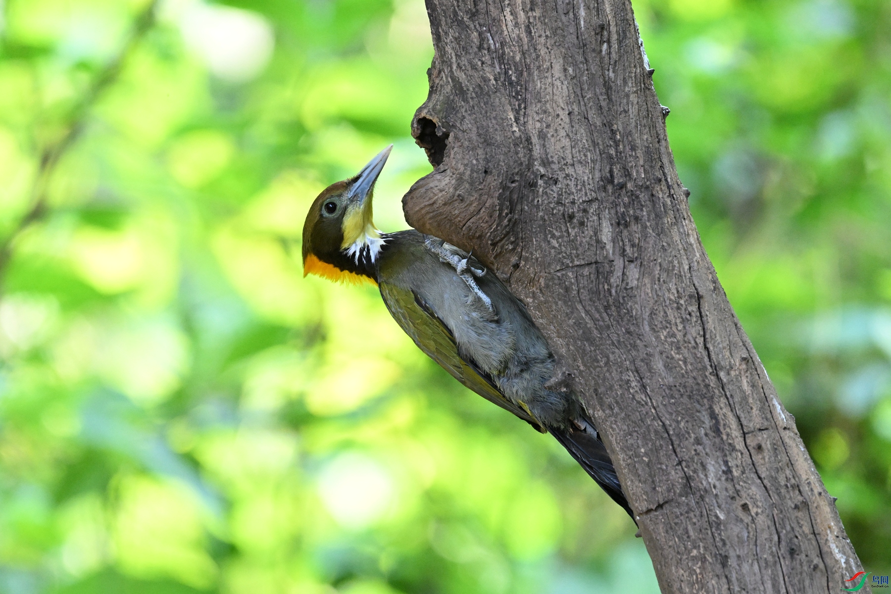 DSC_5597.JPG