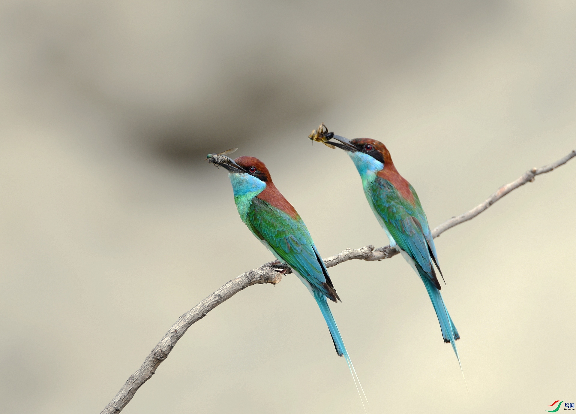 DSC_0162.jpg