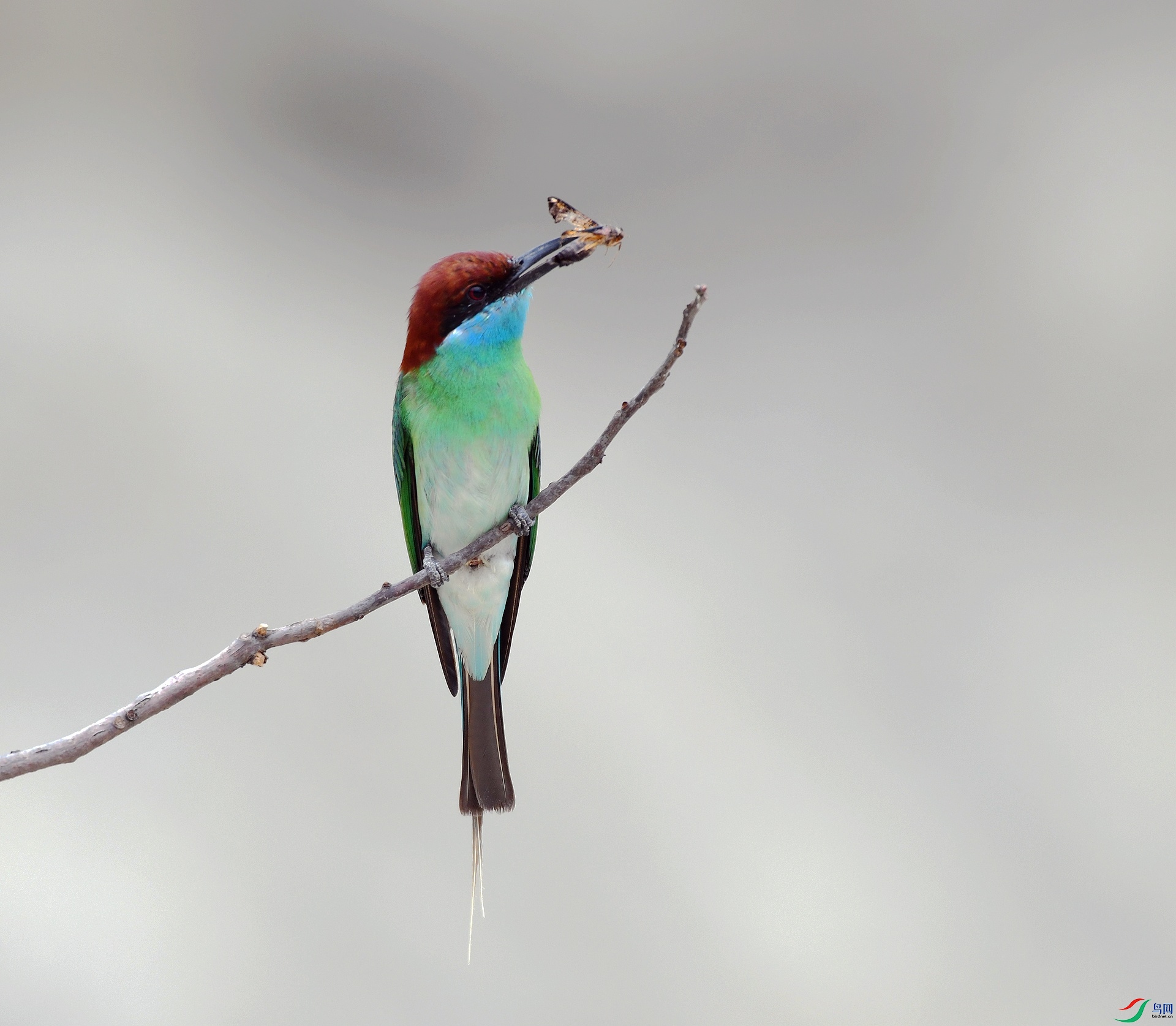 DSC_0114.jpg