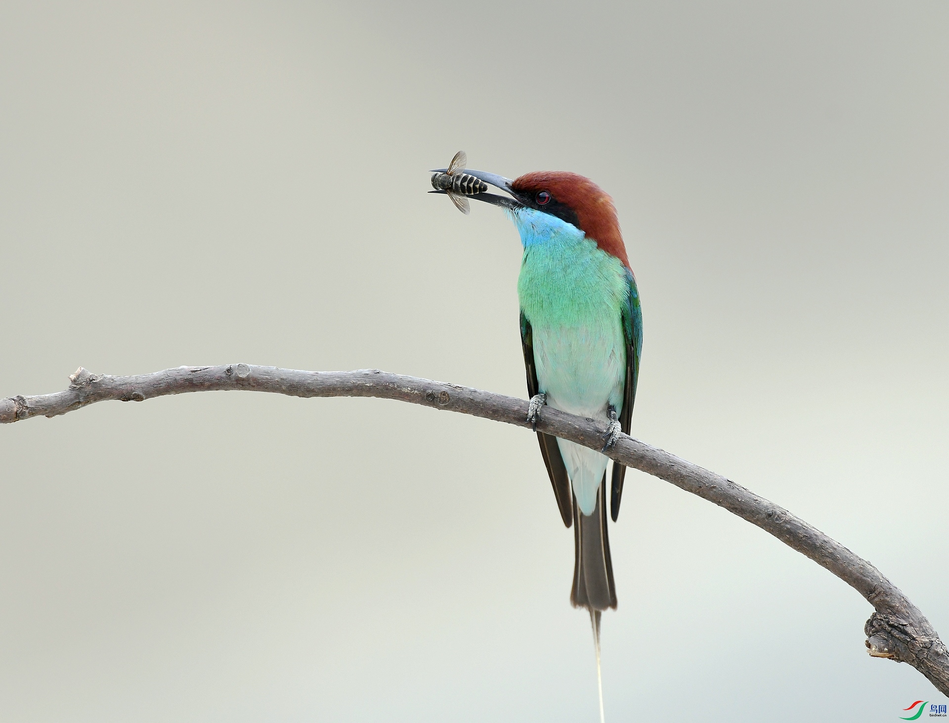 DSC_0330.jpg