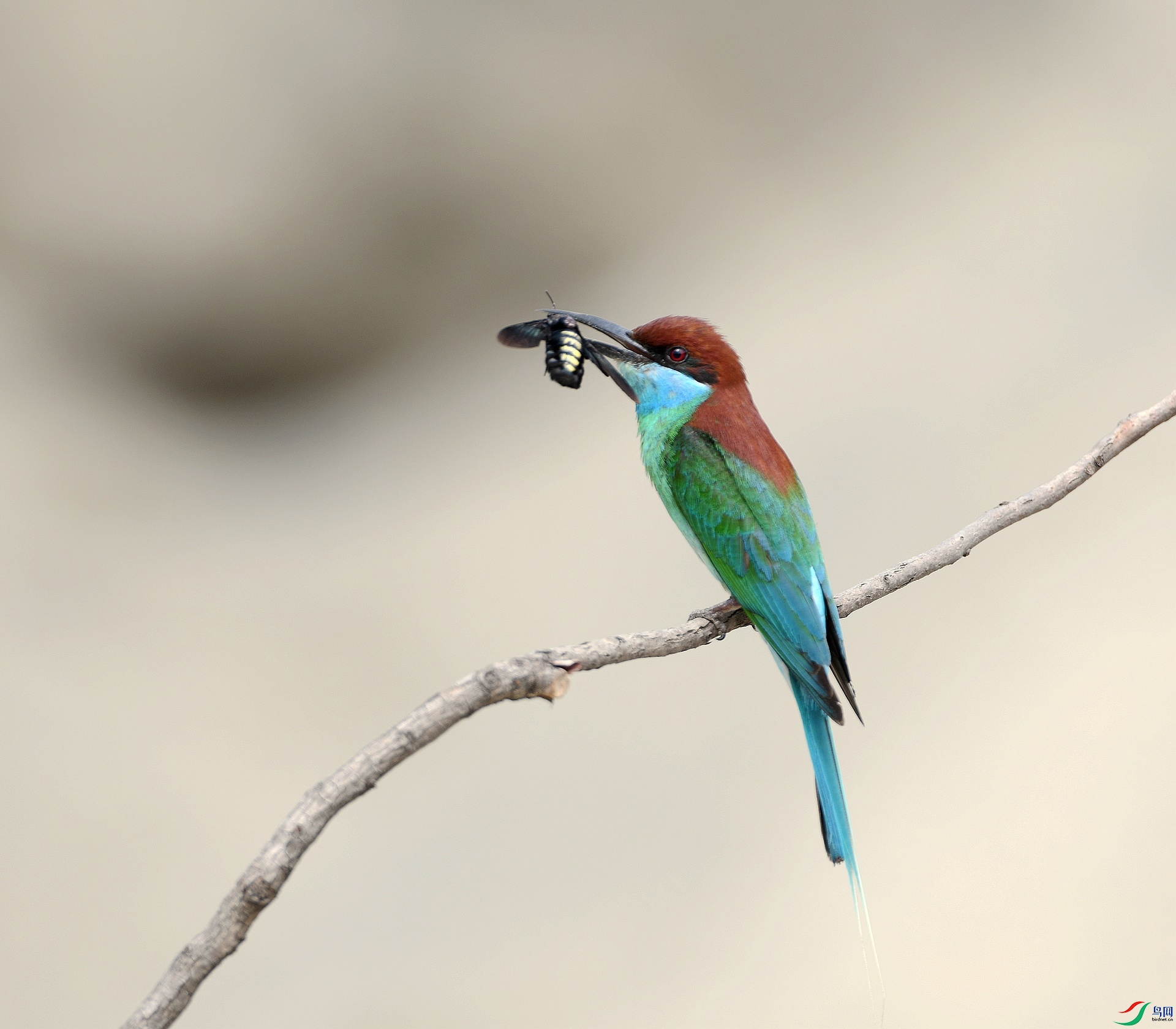 DSC_0109.jpg