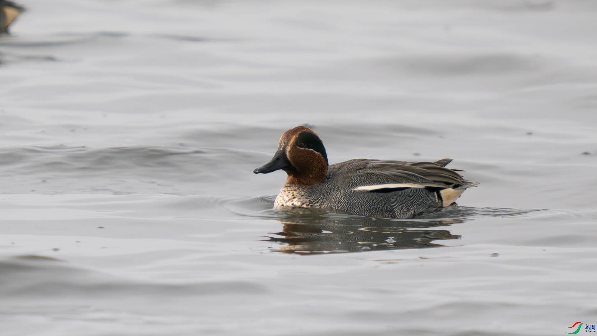 S1007444.jpg