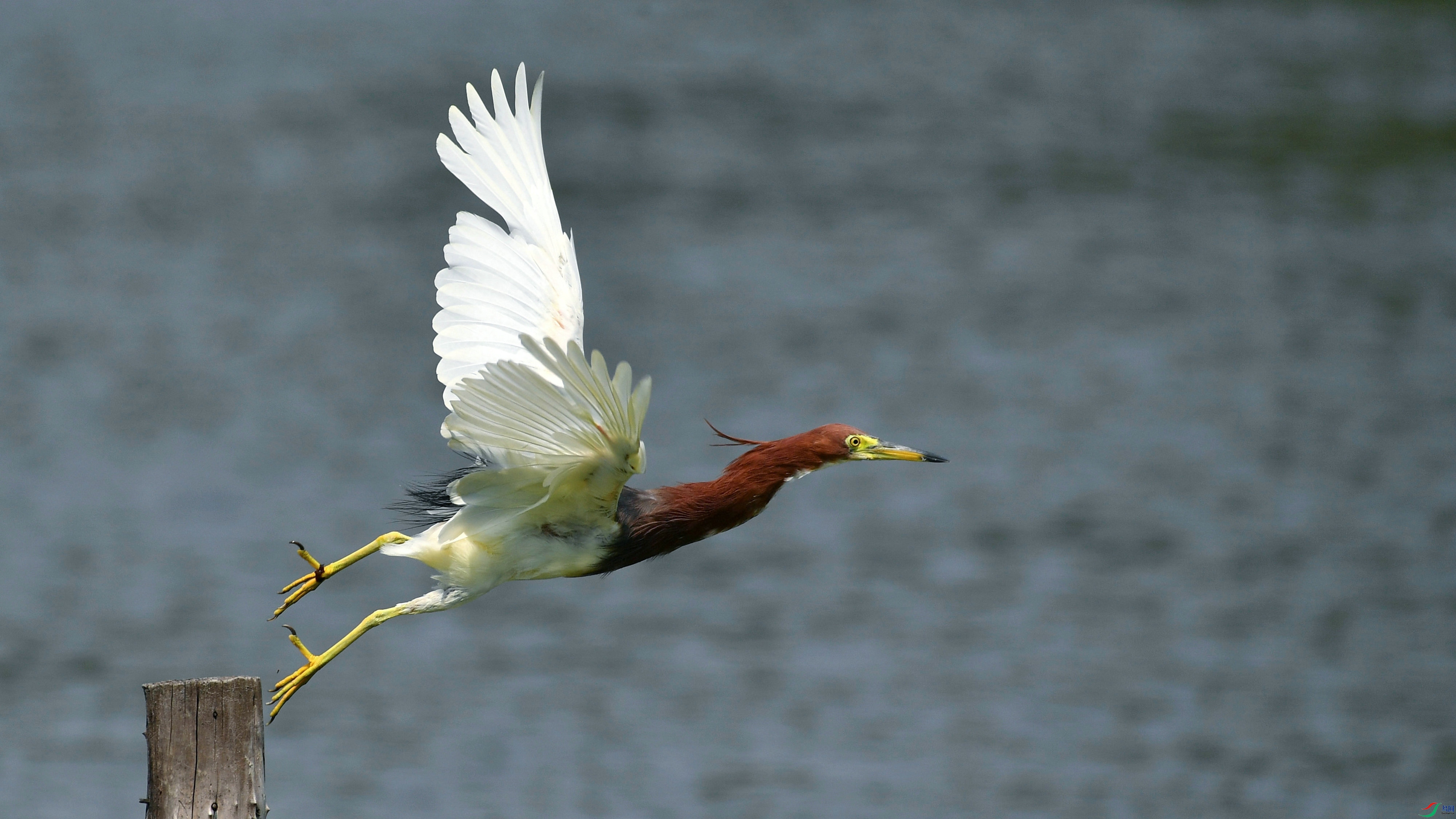 DSC_1023.JPG