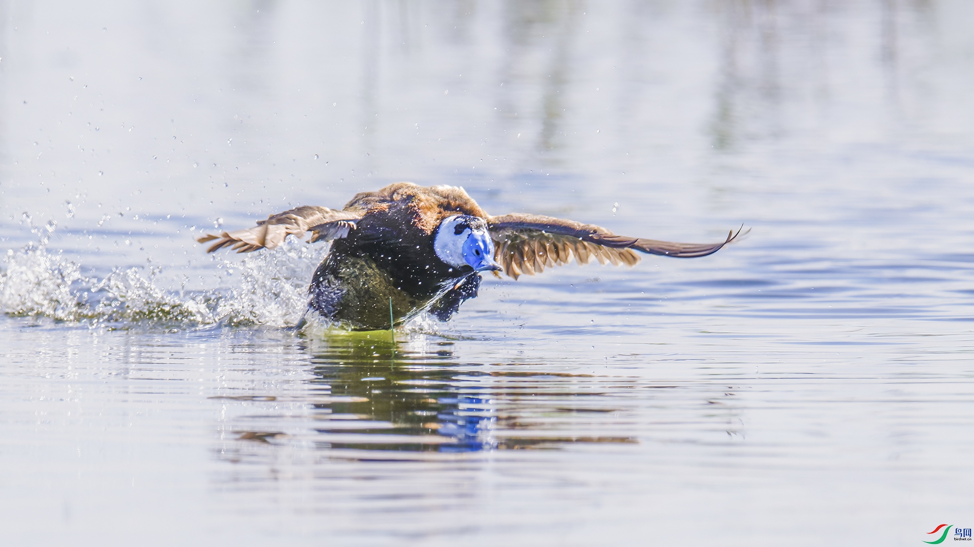 _DSC3398-NEF_DxO_DeepPRIME.jpg
