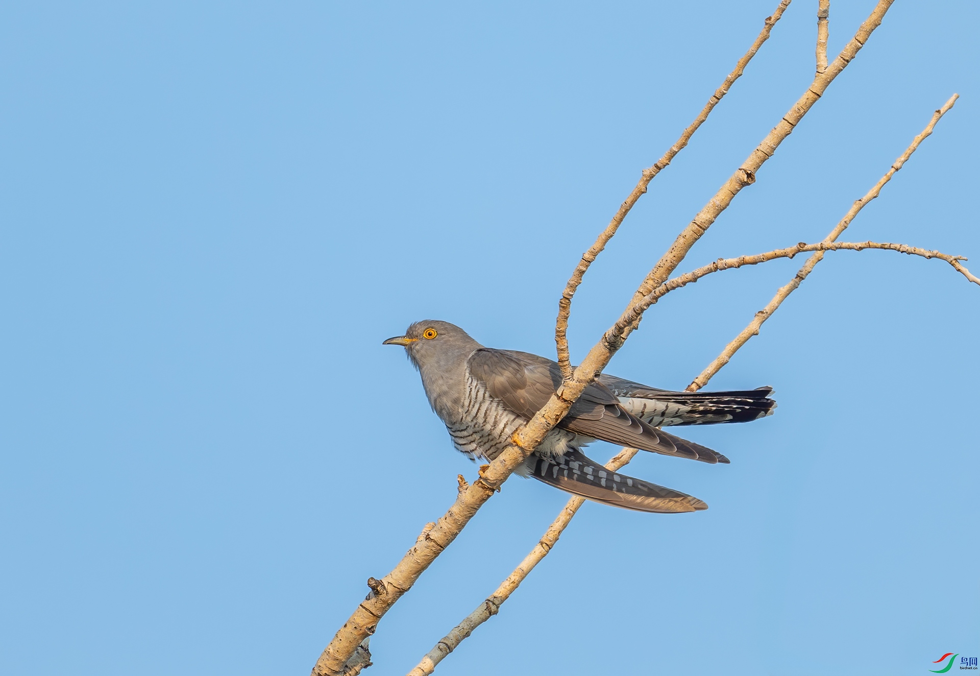DSC_6409.jpg