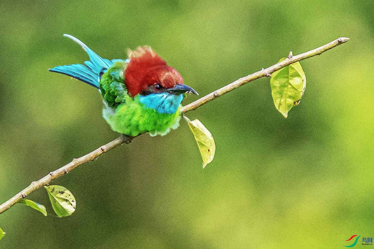 DSC_0448.jpg