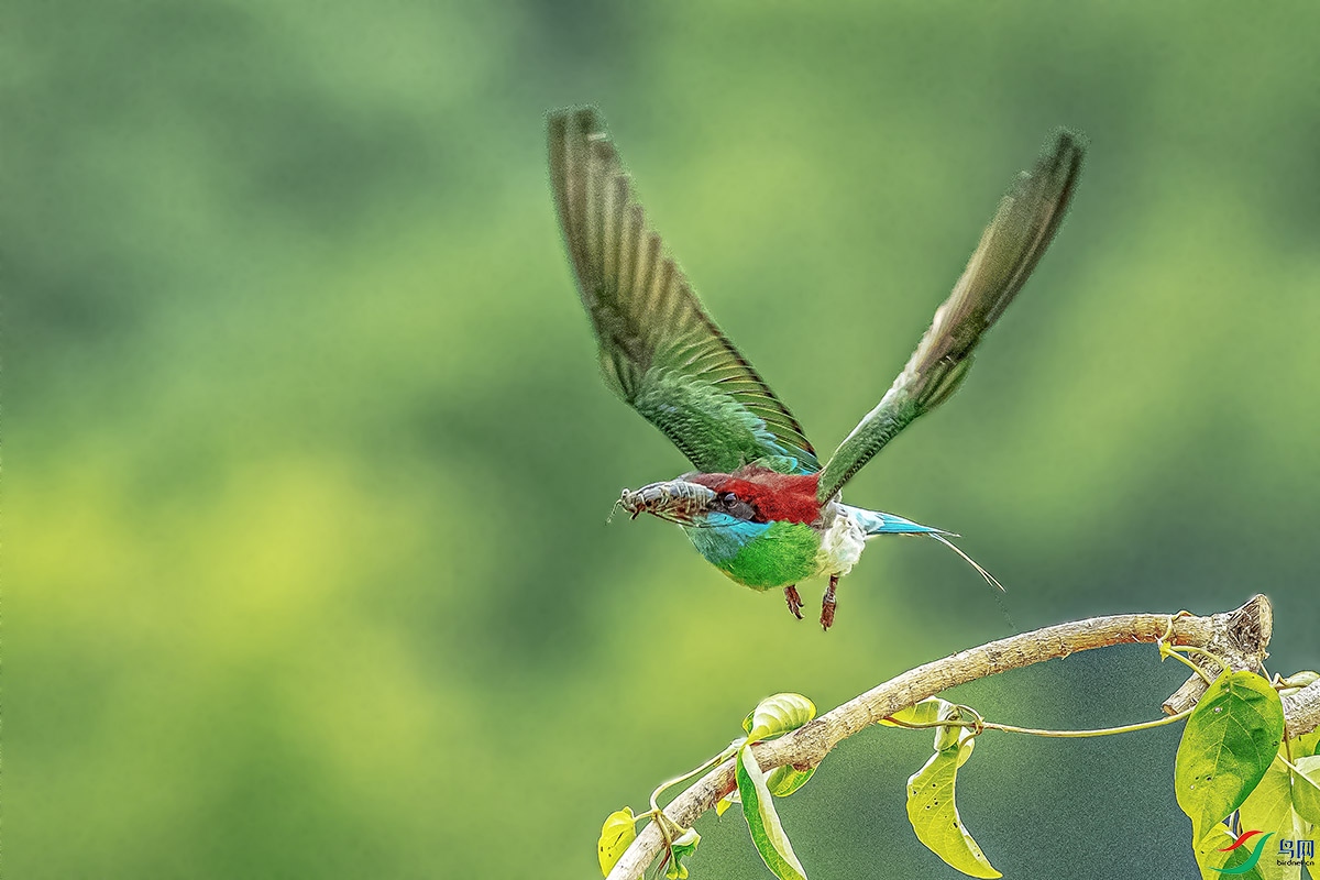 DSC_3424-����ǿ.jpg