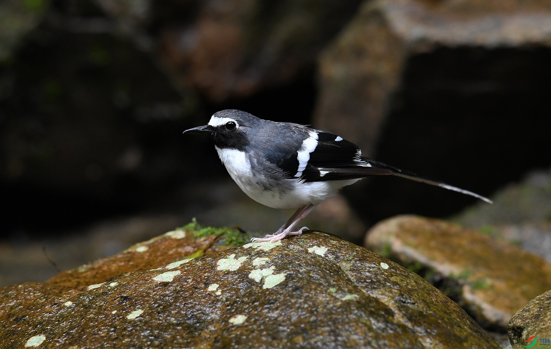 DSC_6104.jpg