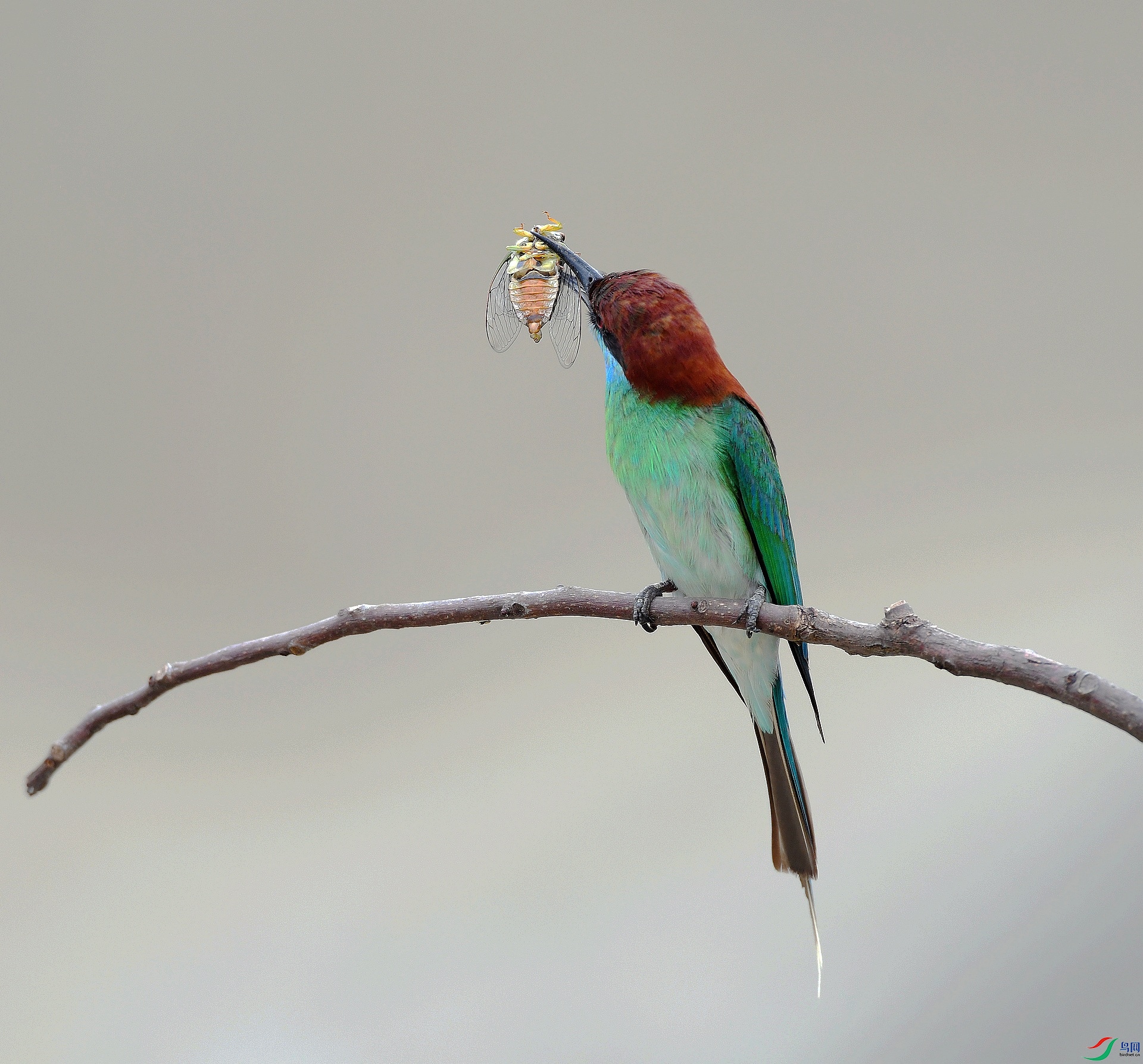 DSC_4805.jpg