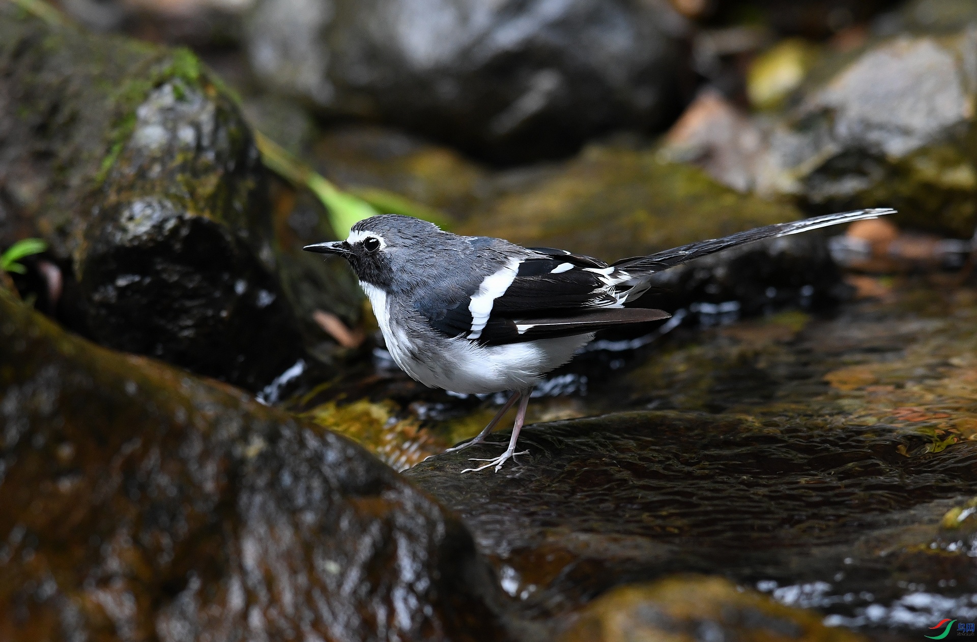 DSC_6090.jpg