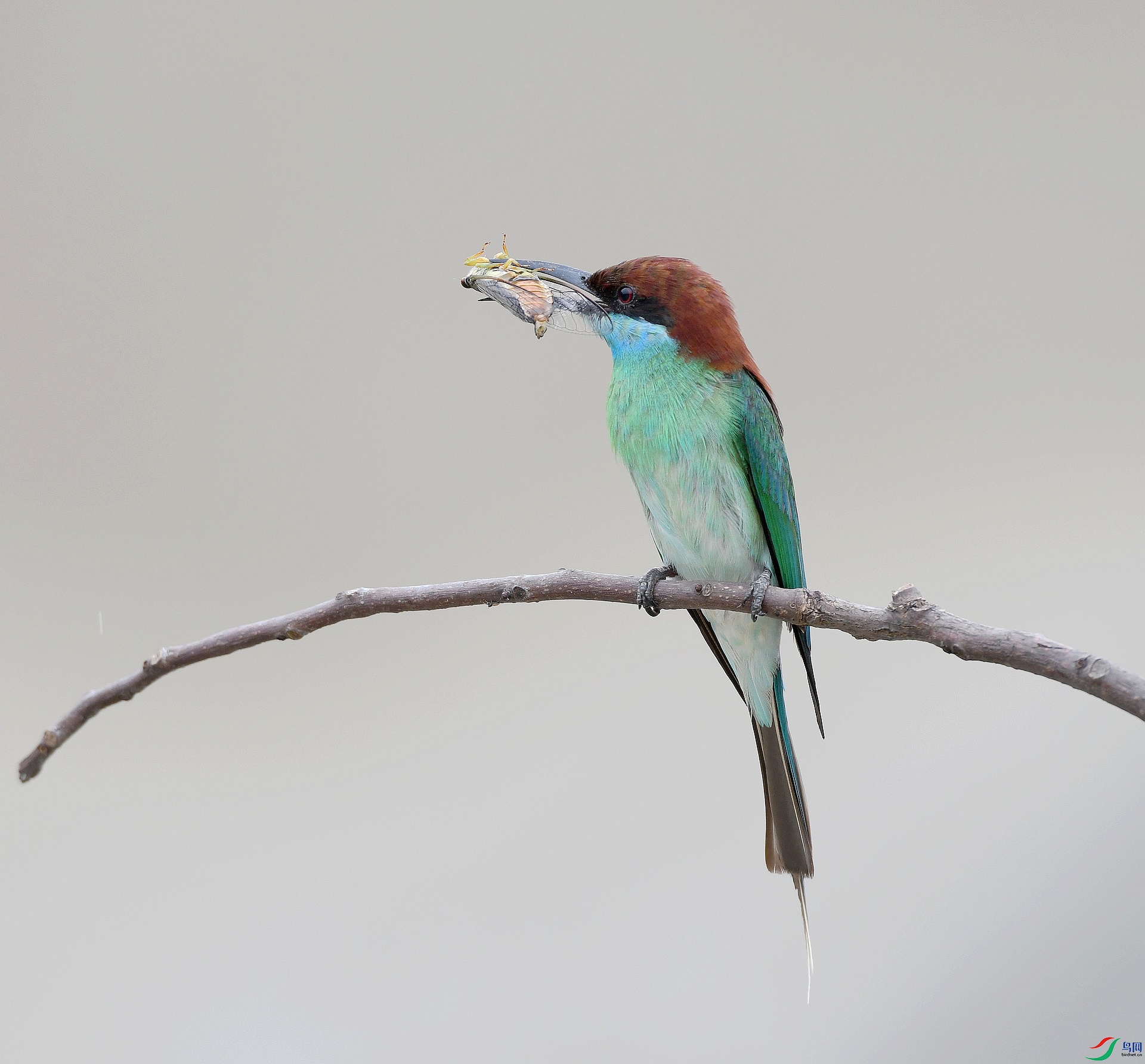 DSC_4803.jpg