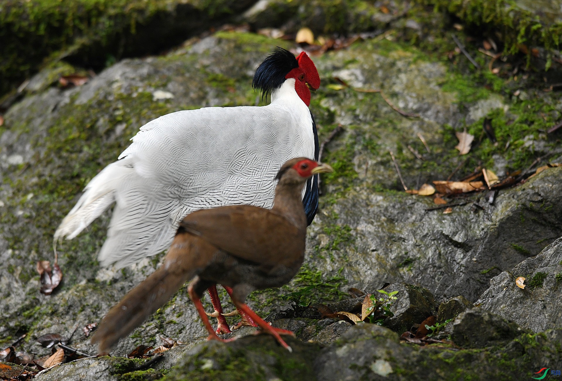 DSC_5895.jpg