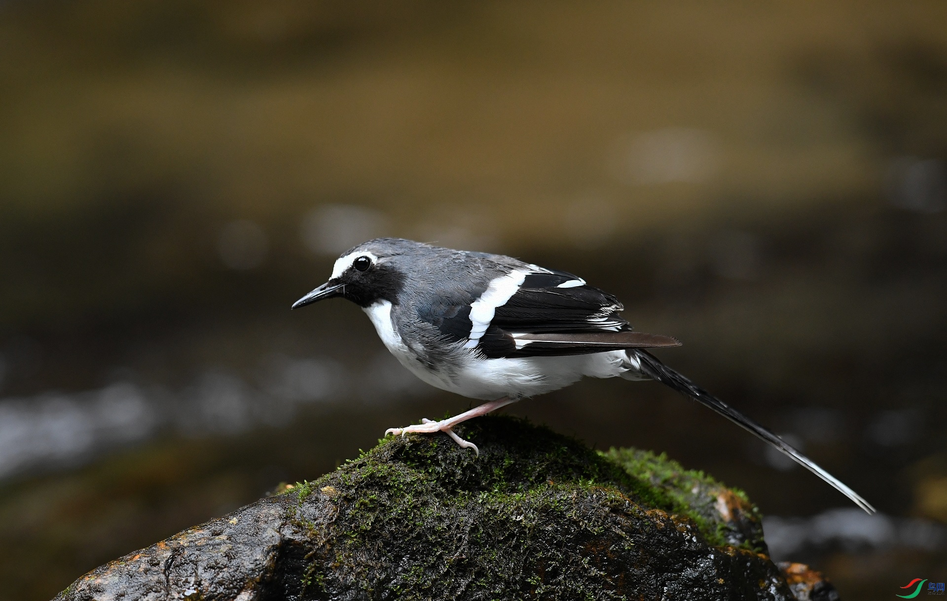 DSC_6083.jpg