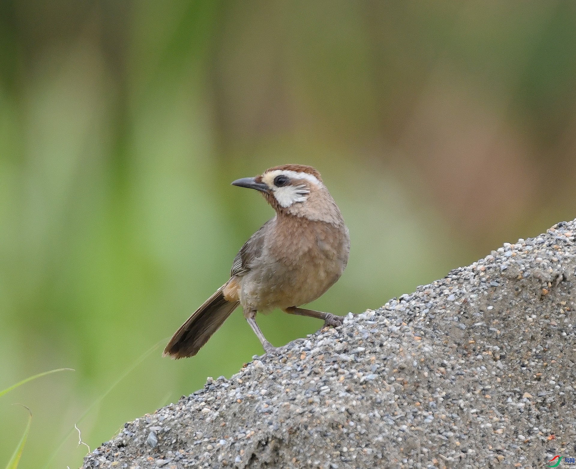 DSC_4261.jpg