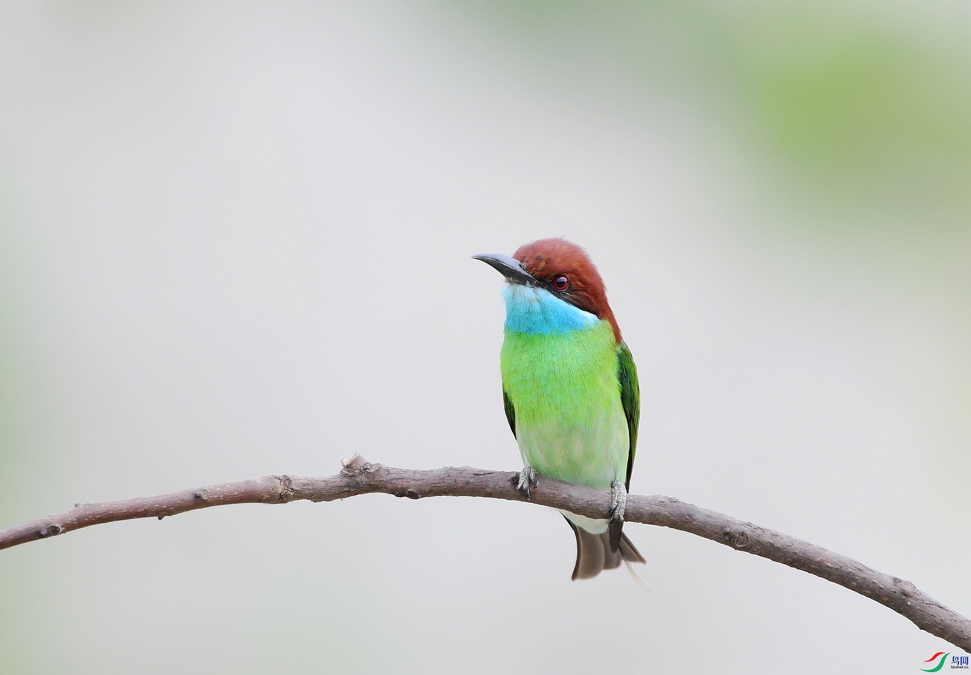 DSC_2872.jpg