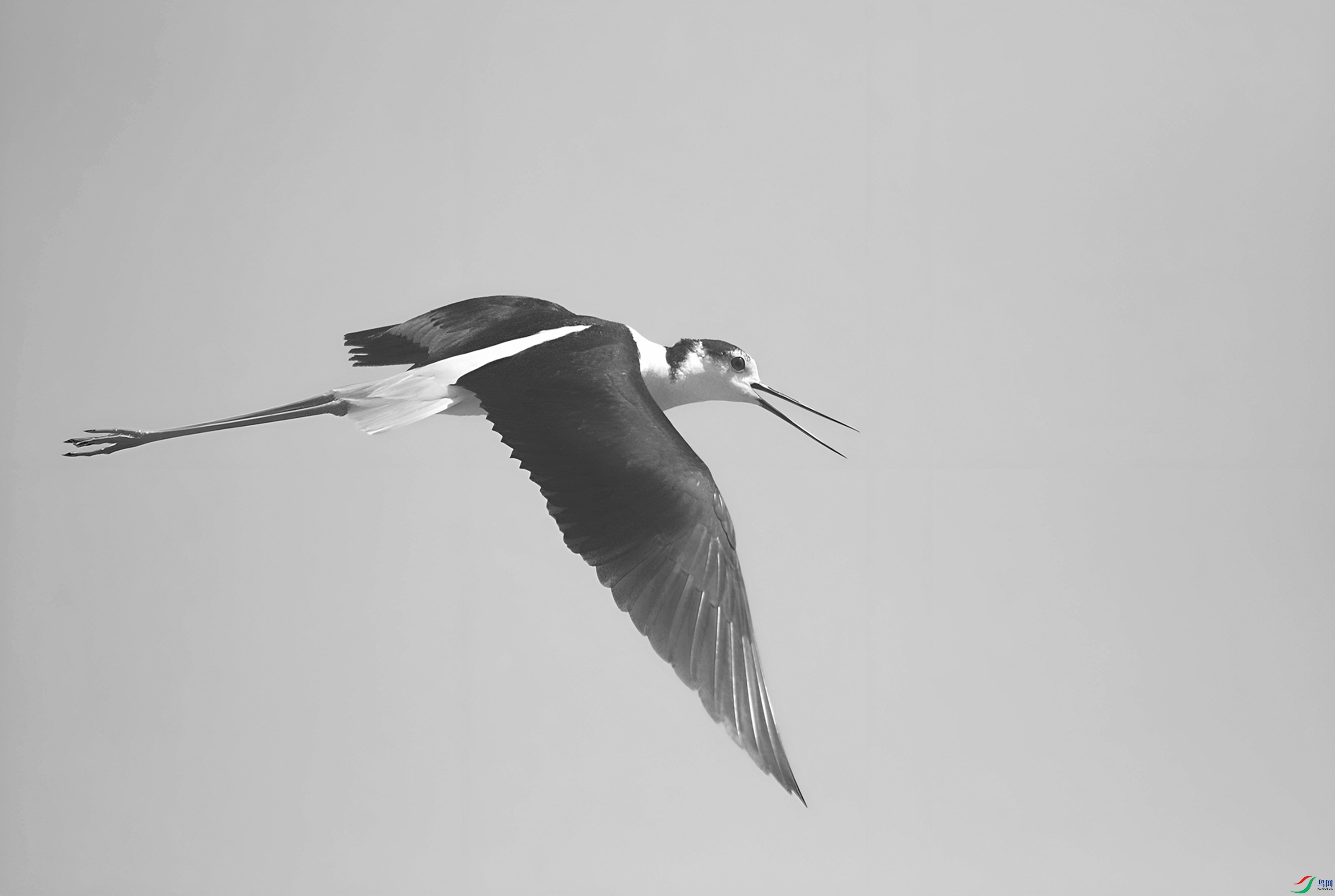 027A4611_2����.jpg