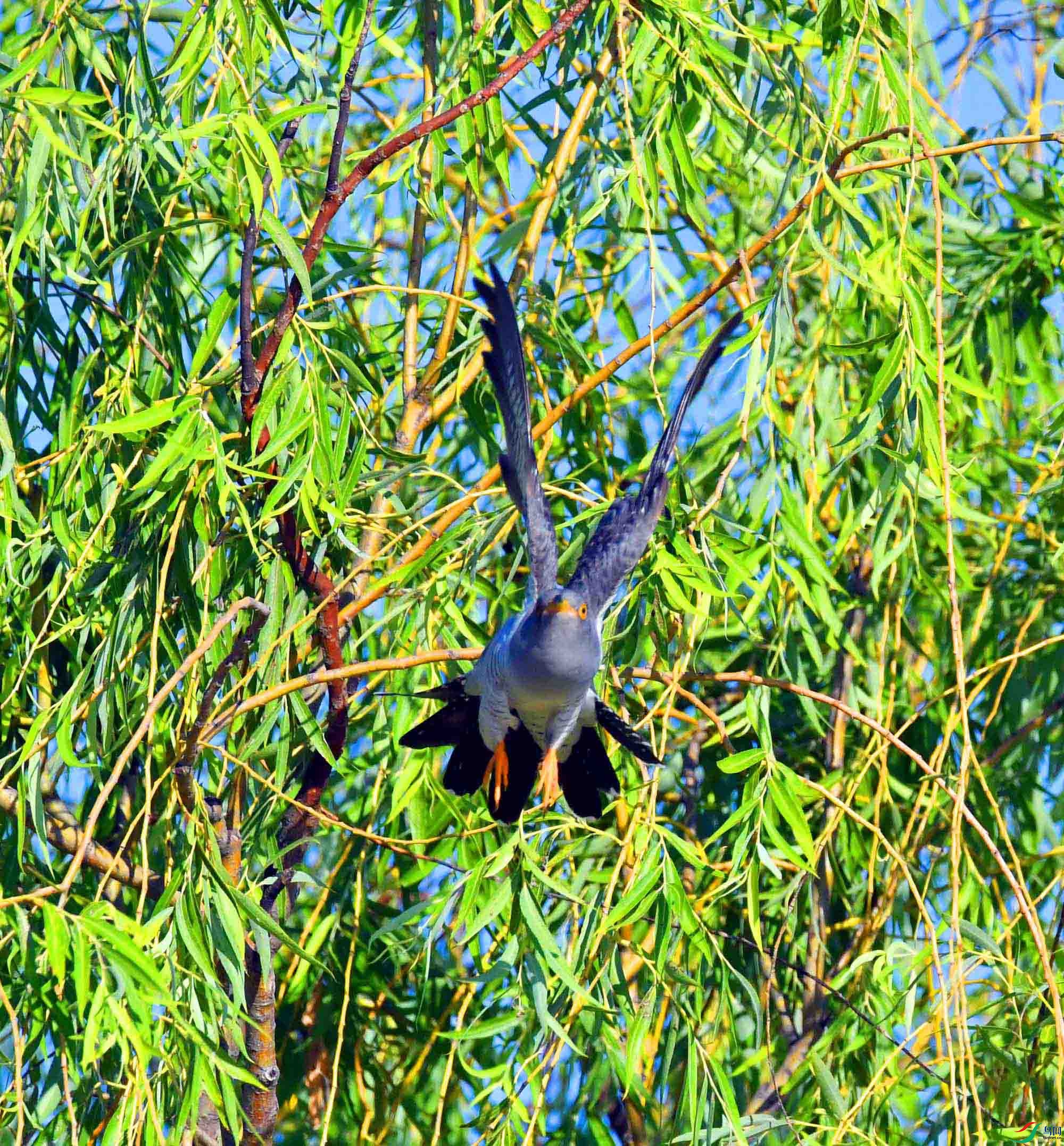 DSC_8124.JPG