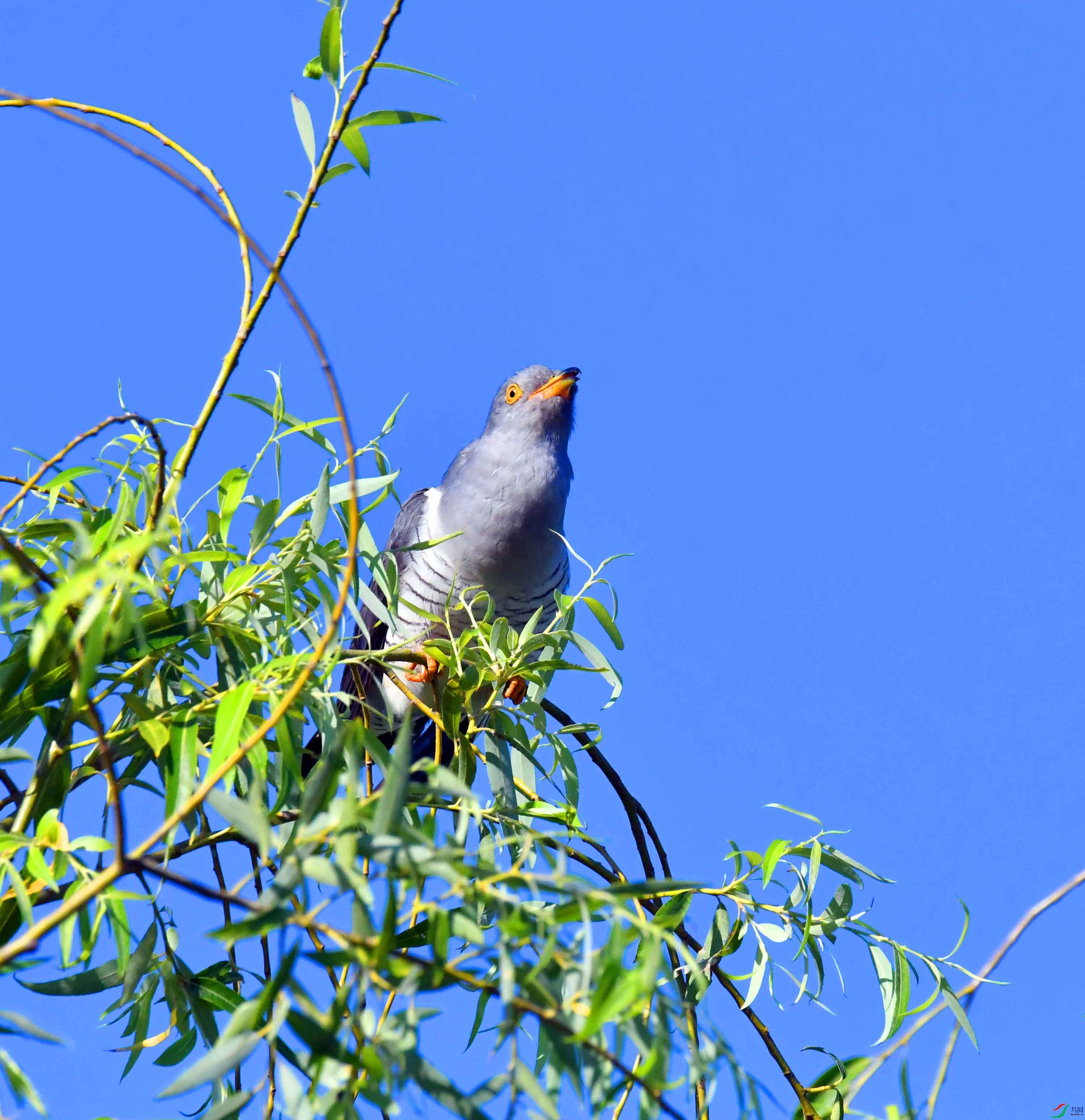 DSC_8182.JPG