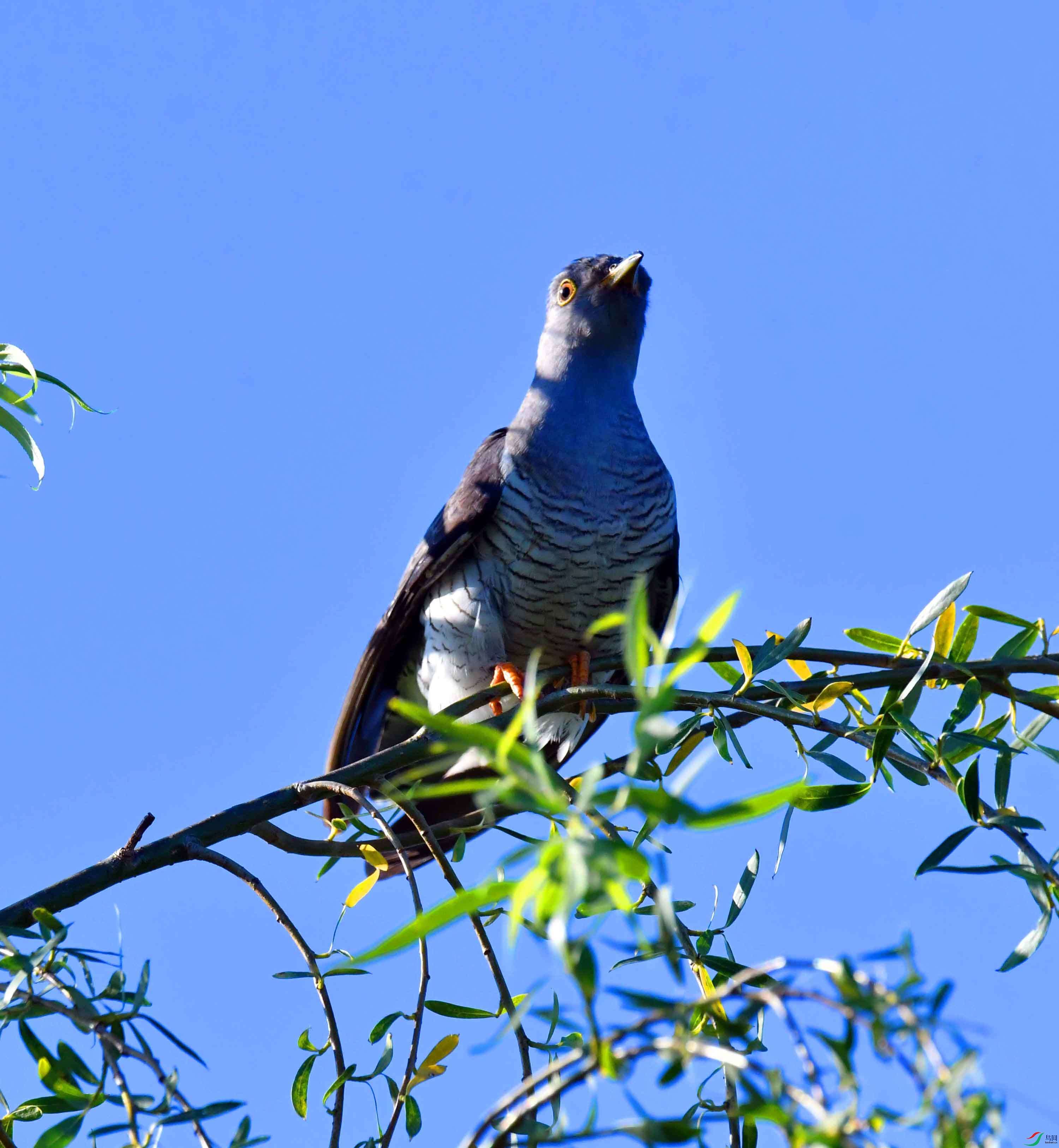 DSC_8162.JPG