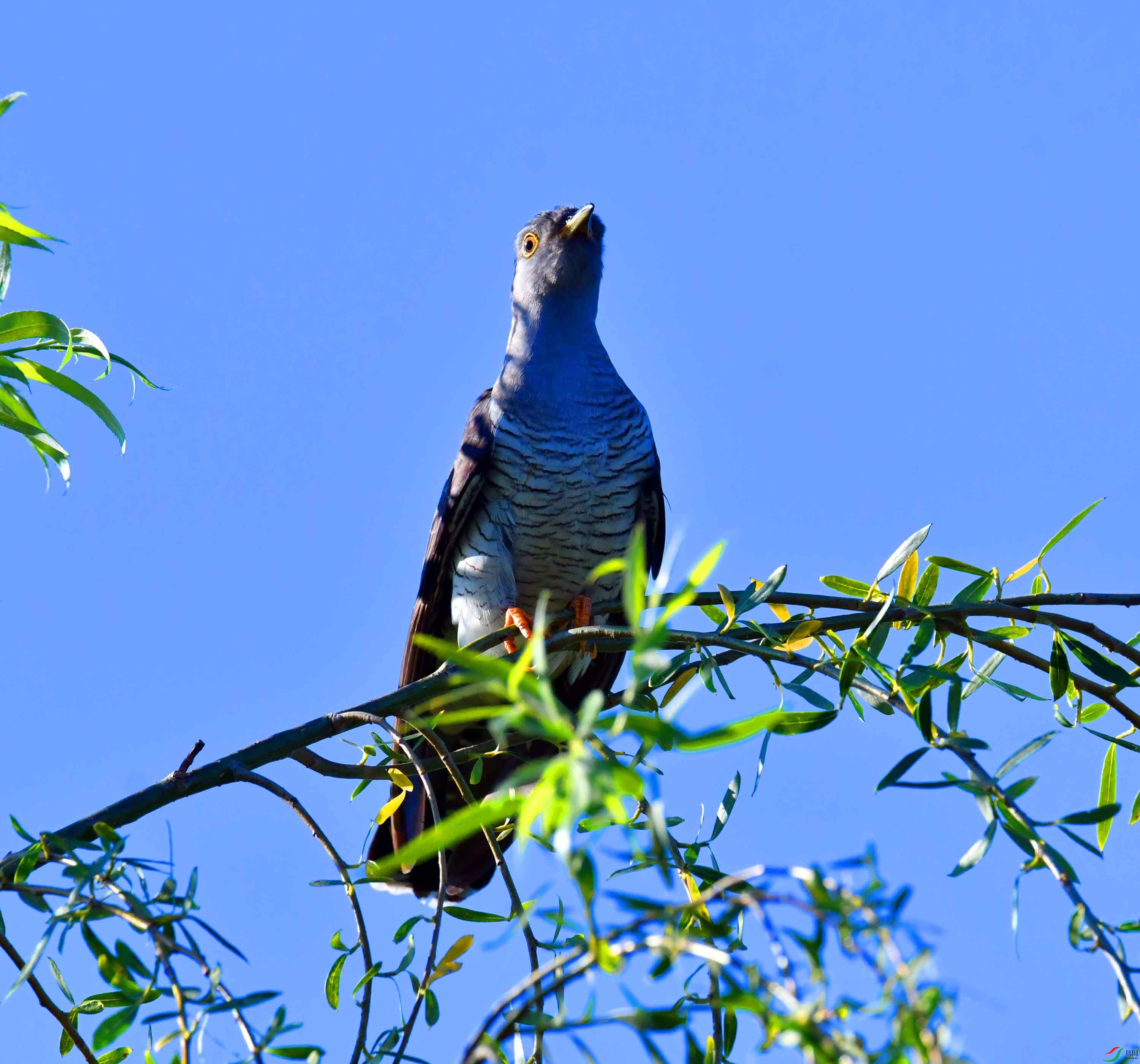 DSC_8172.JPG
