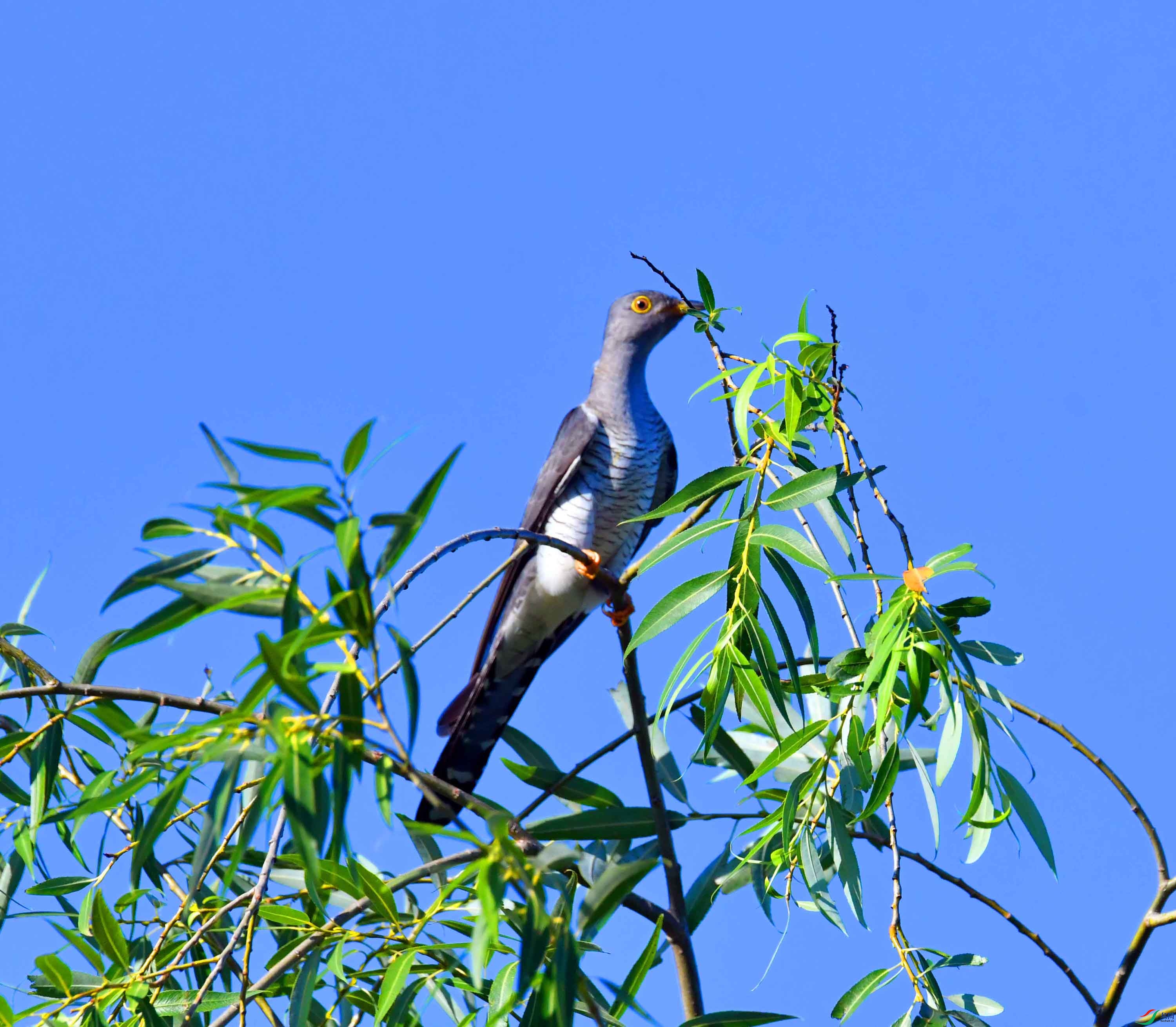 DSC_8152.JPG