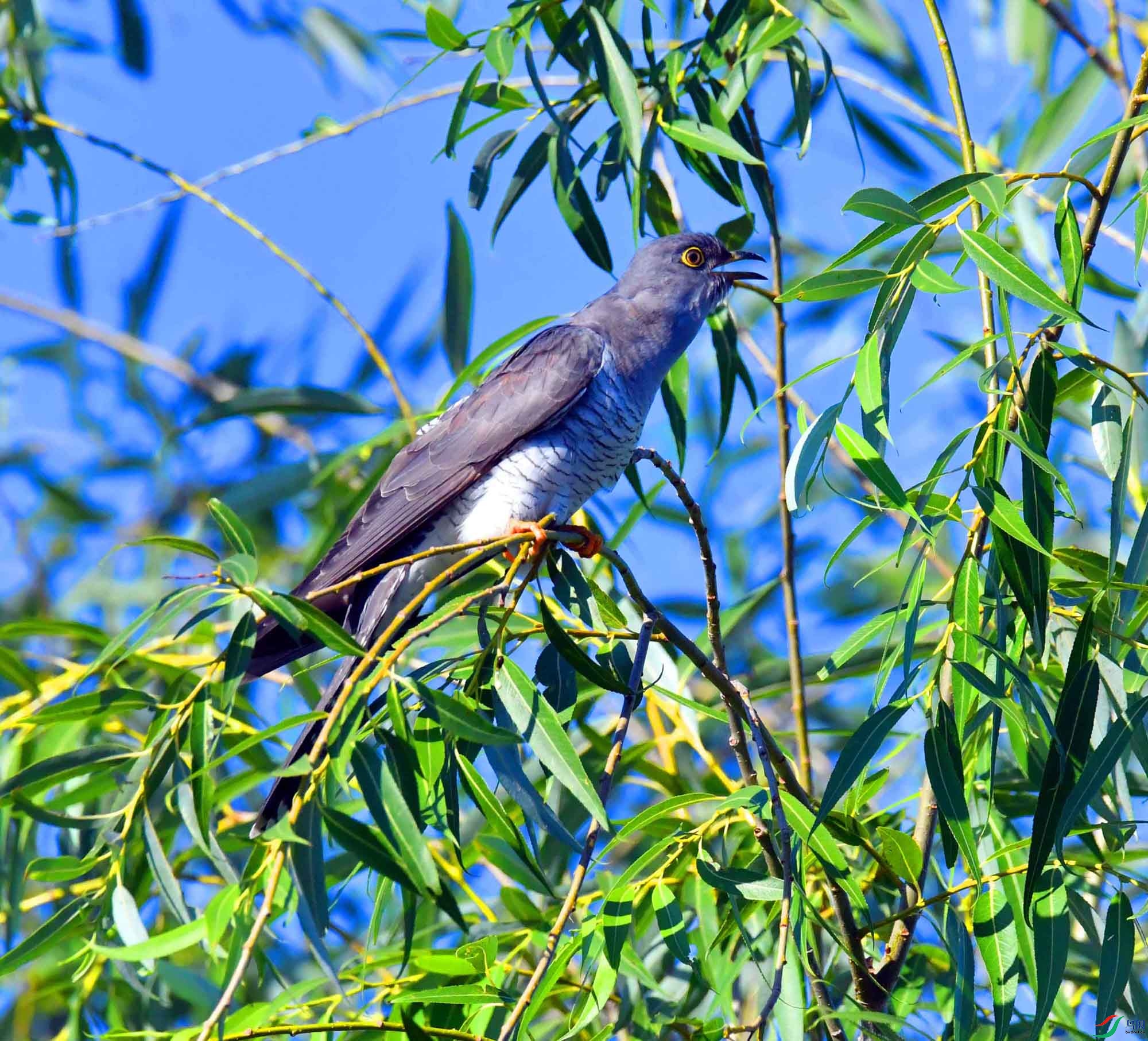 DSC_8207.JPG