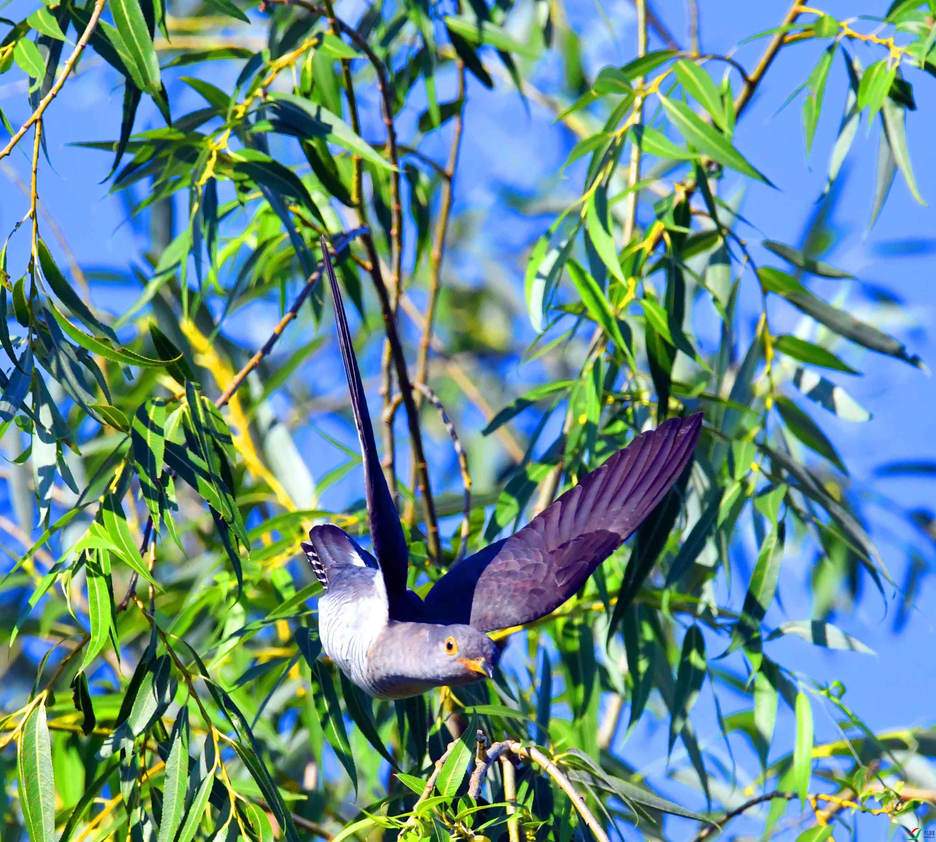 DSC_8213.JPG