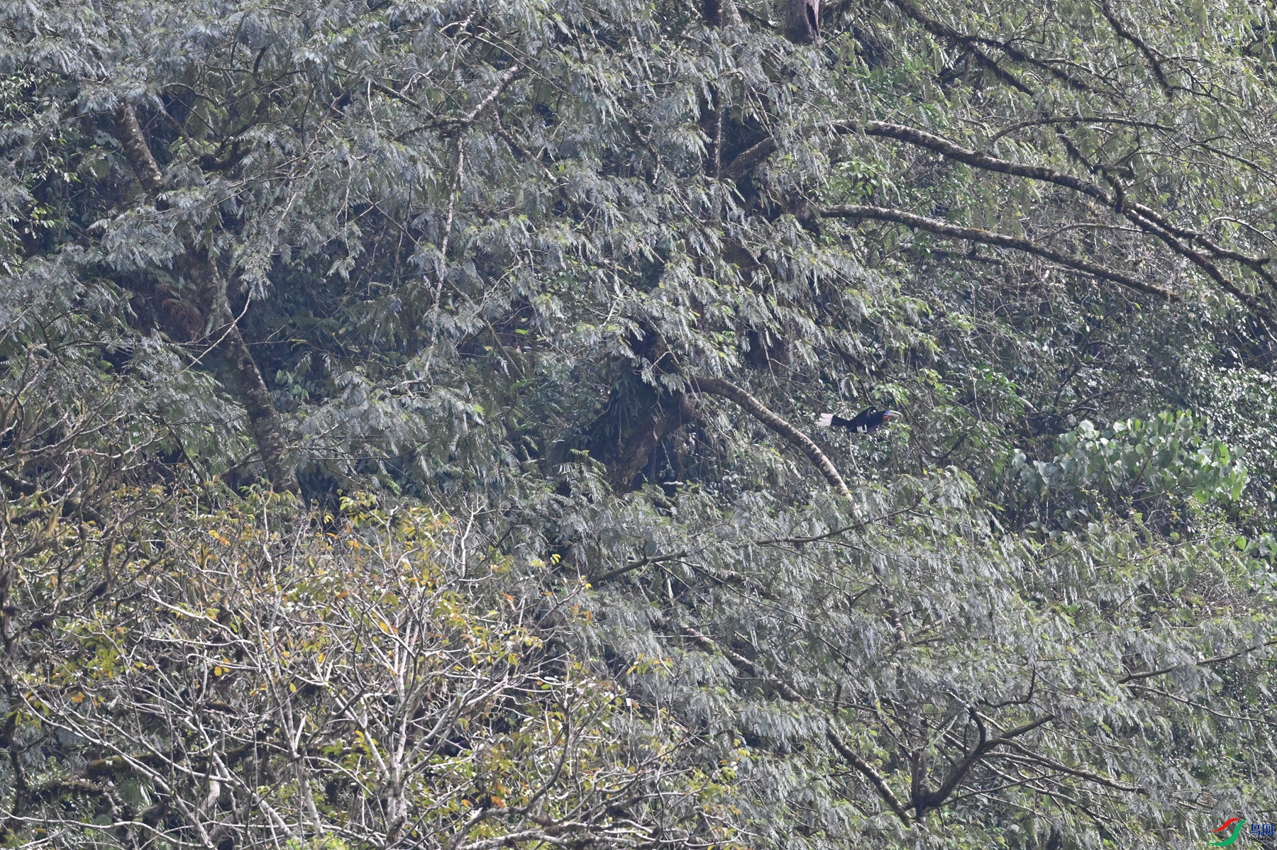 DSC_9896.JPG