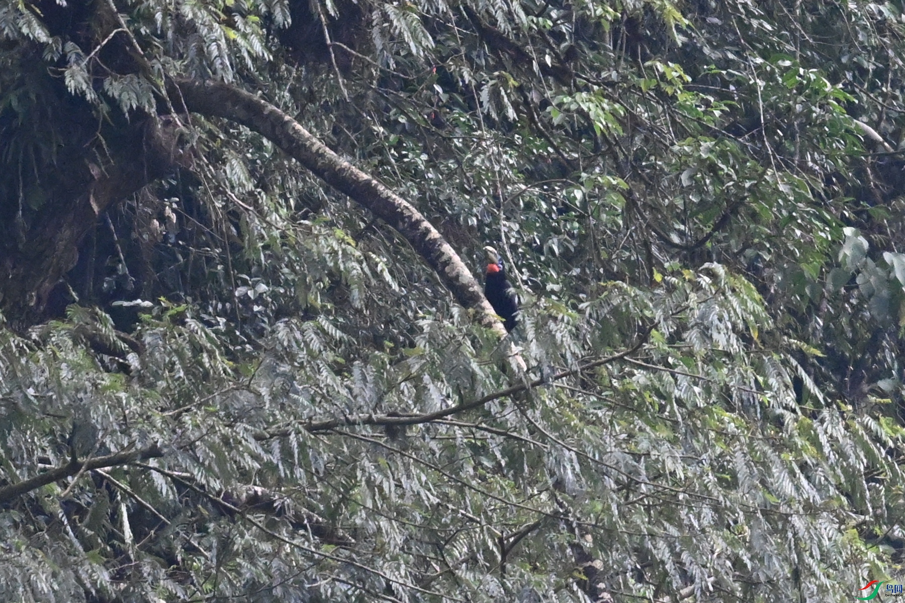 DSC_9885.JPG